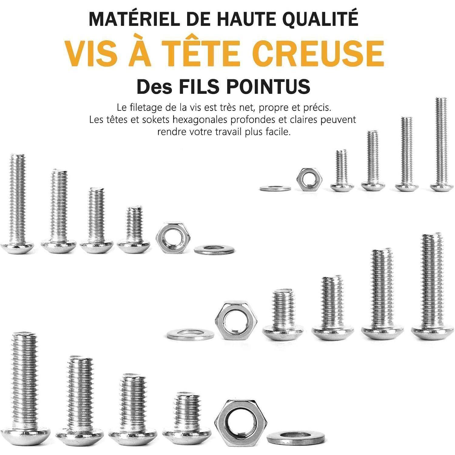 Hochwertiges Material. Senkkopfschrauben: spitze Gewinde. Verschiedene Größen von Innensechskantschrauben in Reihe mit Muttern, die Qualität und Präzision betonen.