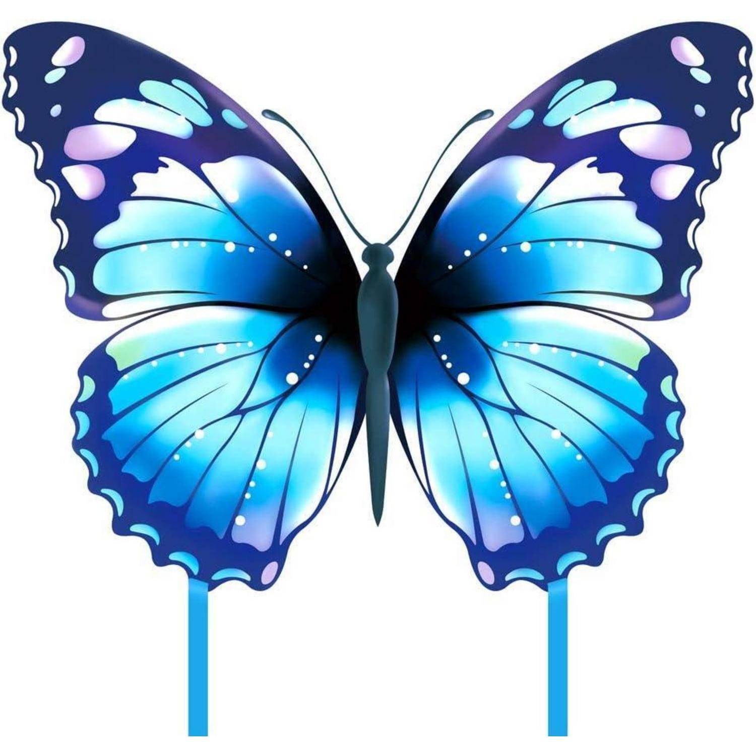Flugdrachen Schmetterling Kinder Erwachsene Blau