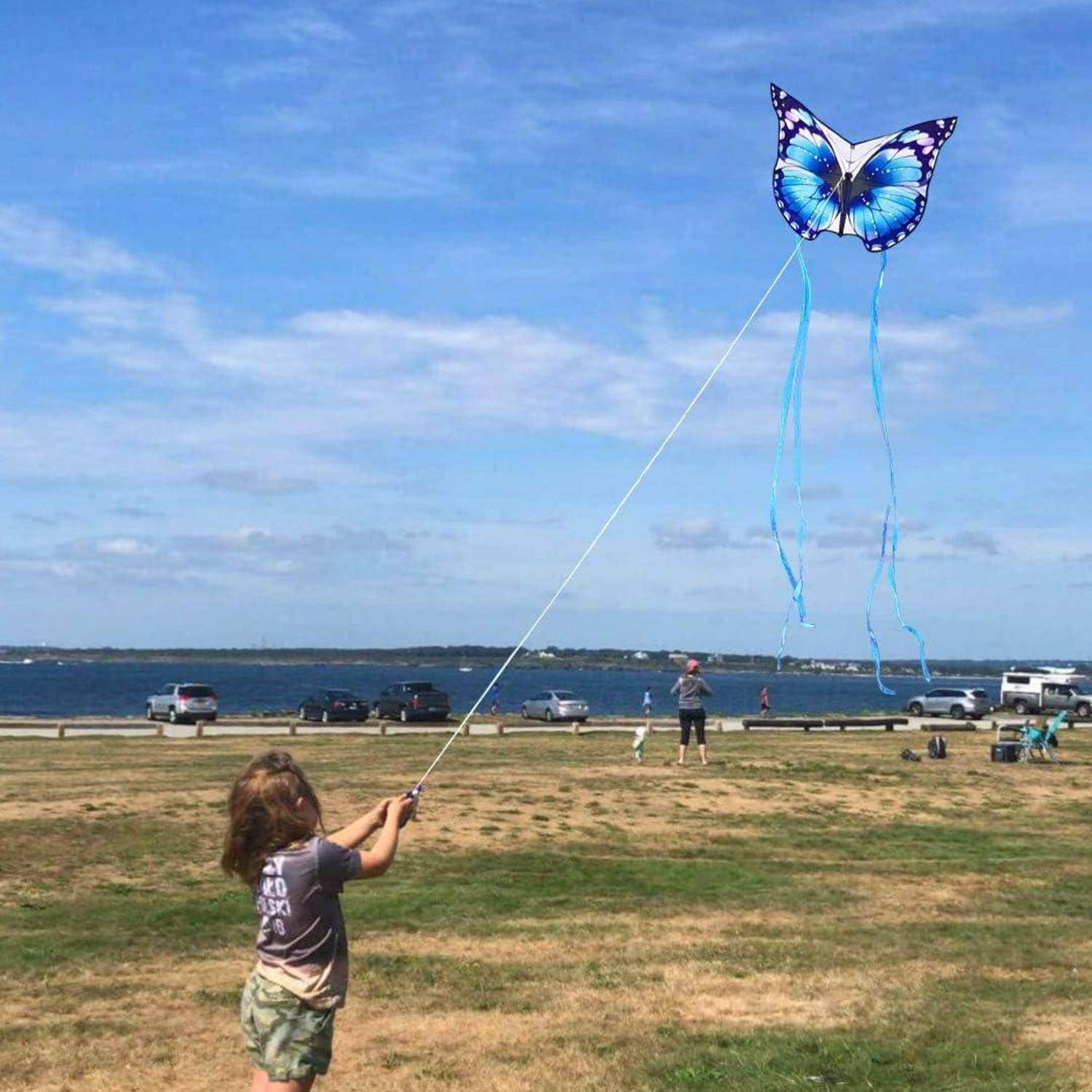 Flugdrachen Schmetterling Kinder Erwachsene Blau