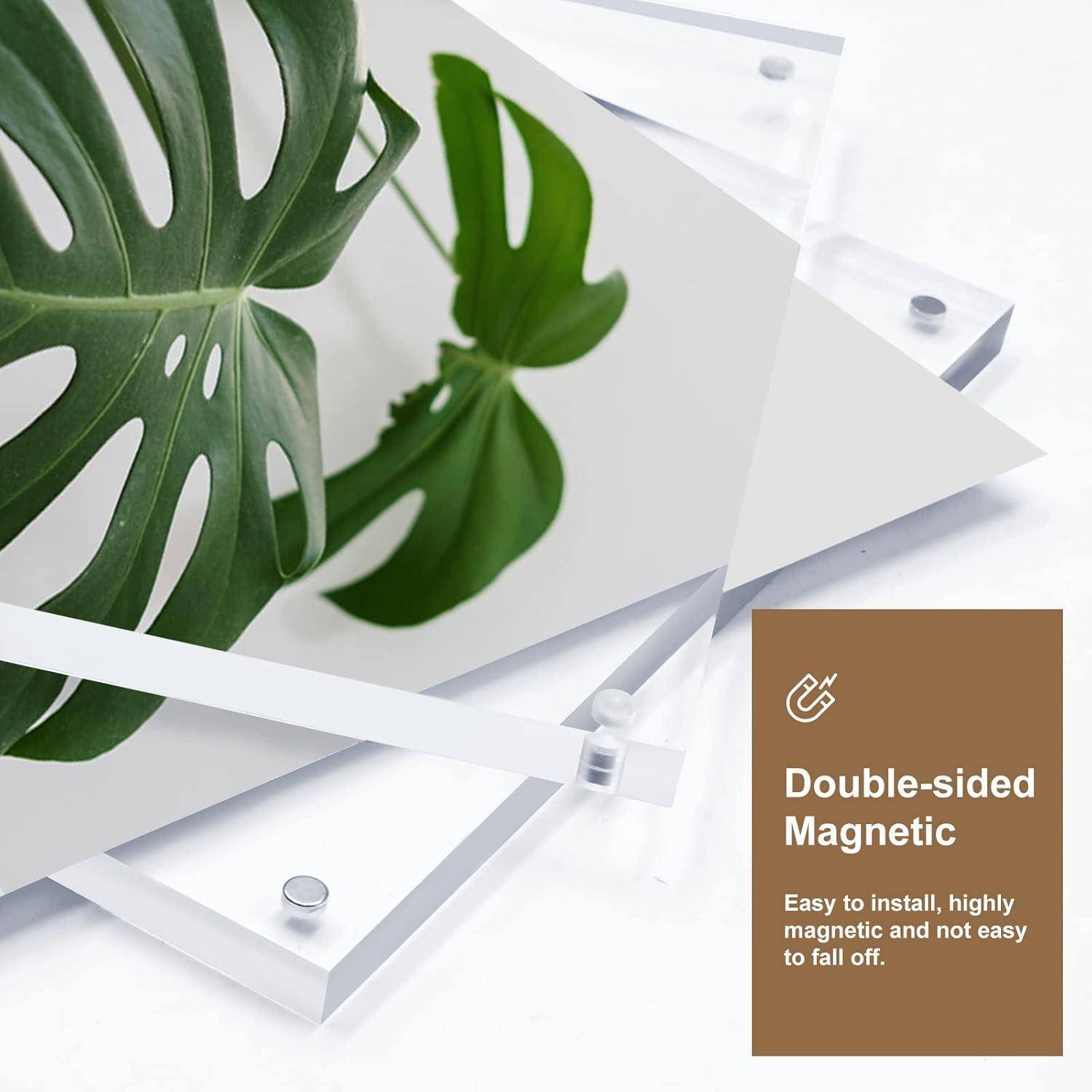 Ein Monstera-Blatt wird auf gestapelten, transparenten Acrylpaneelen präsentiert. Ein Textfeld liest: „Doppelseitig magnetisch; Einfach zu installieren, hochmagnetisch und nicht leicht abfallend.