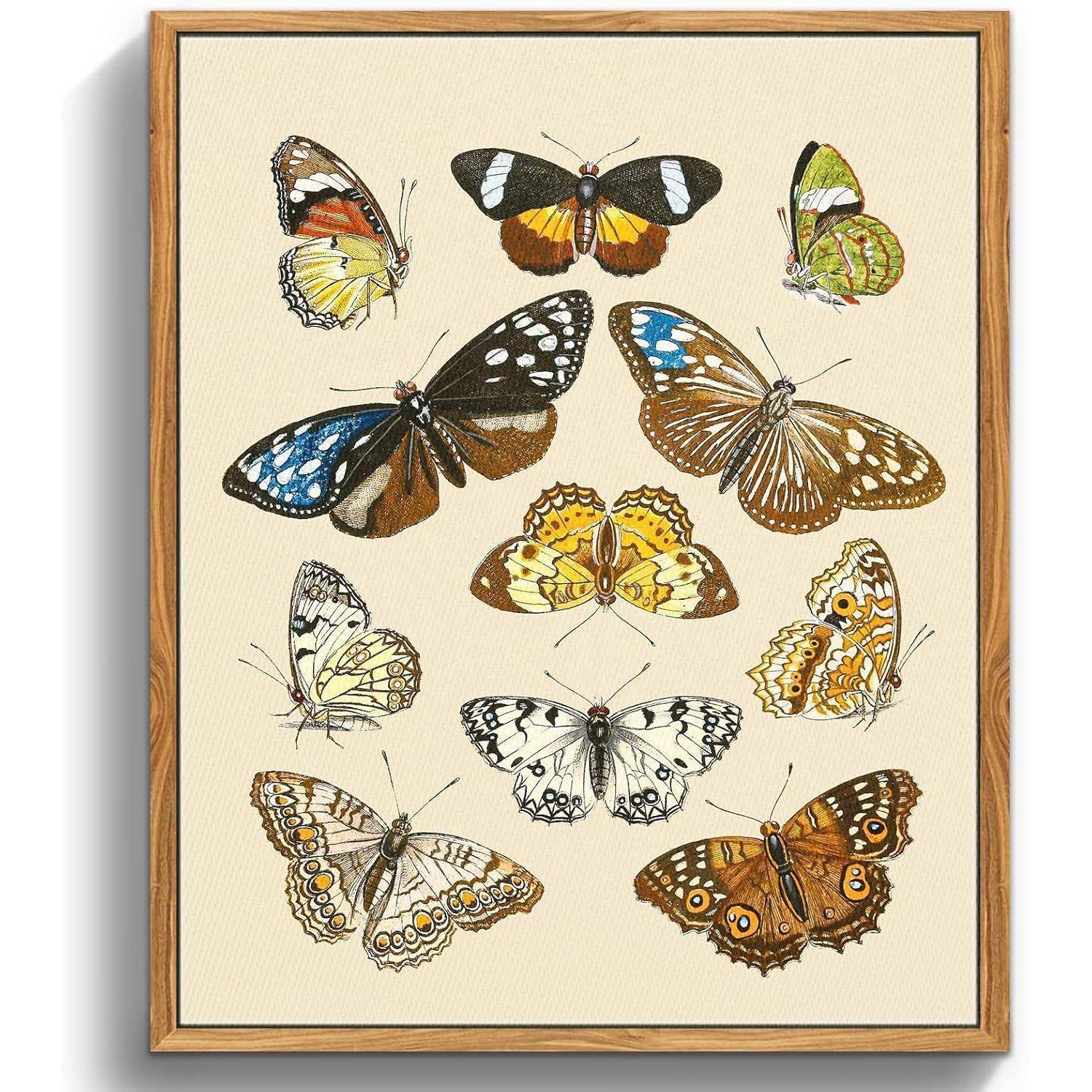Vintage Insekten Leinwand Bilder mit Holzrahmen 40x60cm Aesthetic