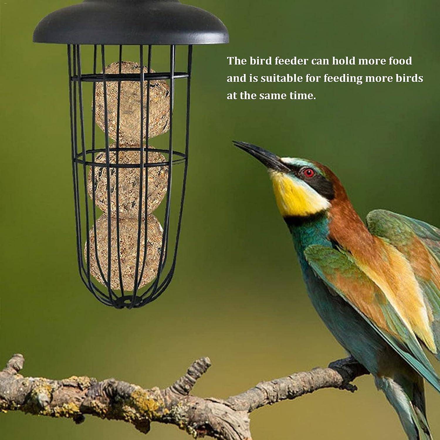 Ein Vogel sitzt auf einem Ast in der Nähe eines Metallvogelfutterhauses, das mit Suetbällen gefüllt ist. Text lautet: „Das Vogelfutterhaus kann mehr Vögel aufnehmen und eignet sich zum Füttern mehrerer Vögel