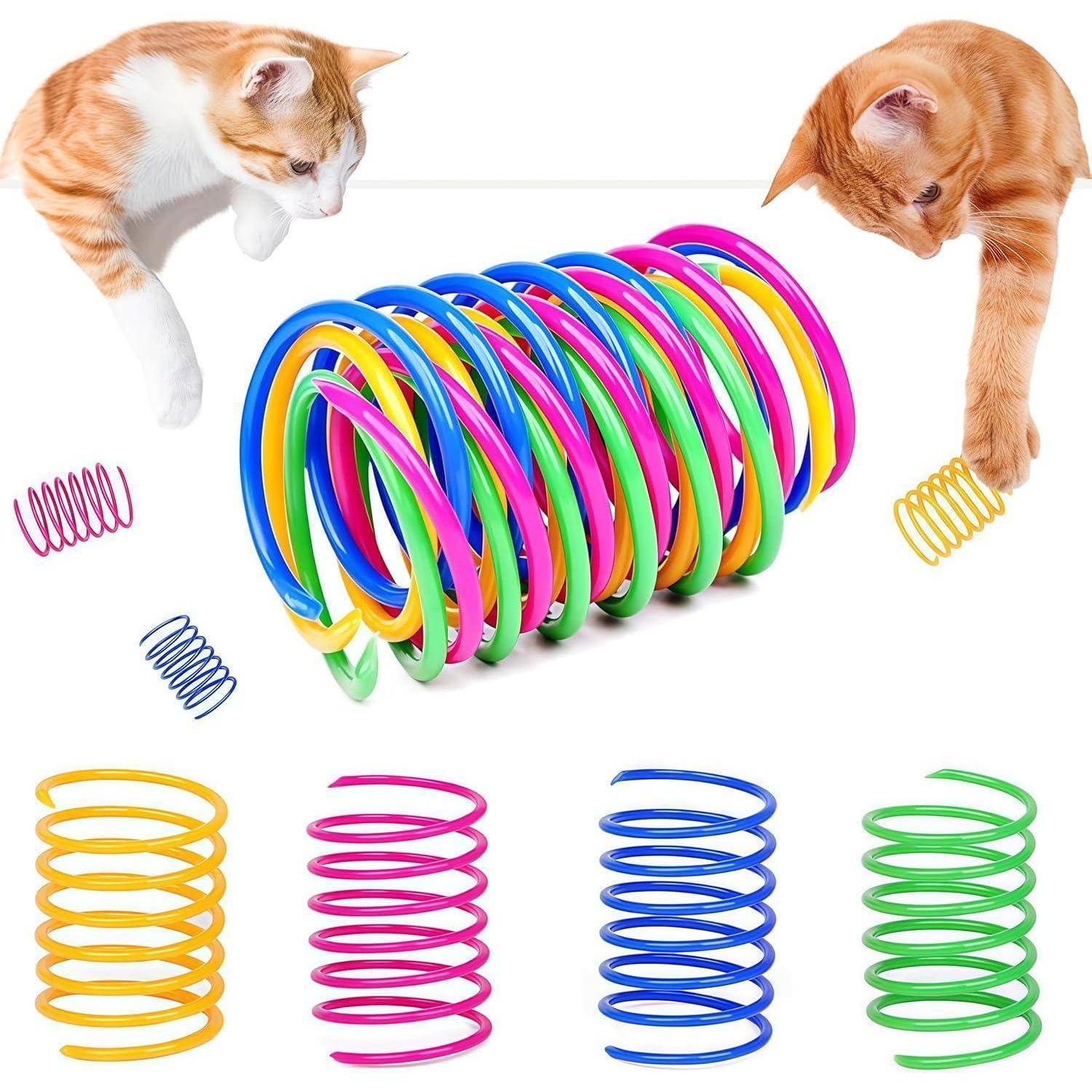 Zwei Katzen spielen mit bunten Plastik-Spiralfedern auf weißem Hintergrund. Mehrere mehrfarbige Federn sind darunter ausgelegt.