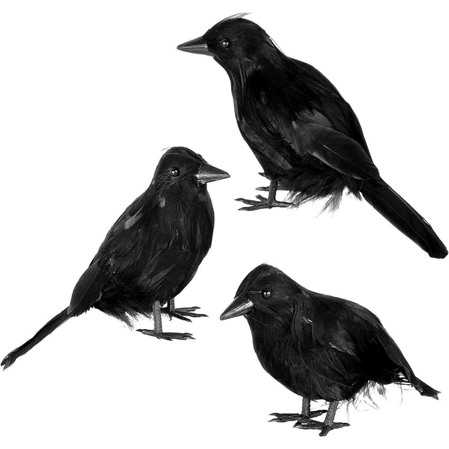 Krähe Rabe Vogel Halloween Deko Spukhaus Friedhof 3