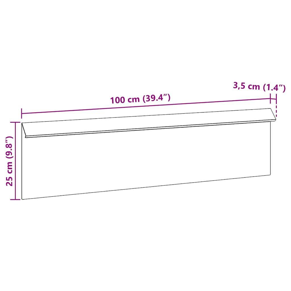 Maße eines rechteckigen Regals: Länge 100 cm (39,4 Zoll), Höhe 25 cm (9,8 Zoll), Tiefe 3,5 cm (1,4 Zoll).