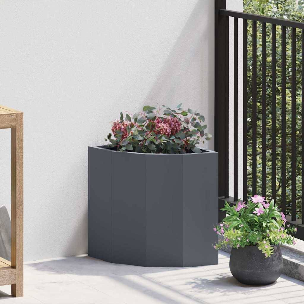 Eine moderne, minimalistische Innenecke mit zwei Pflanzgefäßen, die bunte Blumen beherbergen. Sonnenlicht strömt durch ein Fenster und verstärkt die ruhige Atmosphäre.