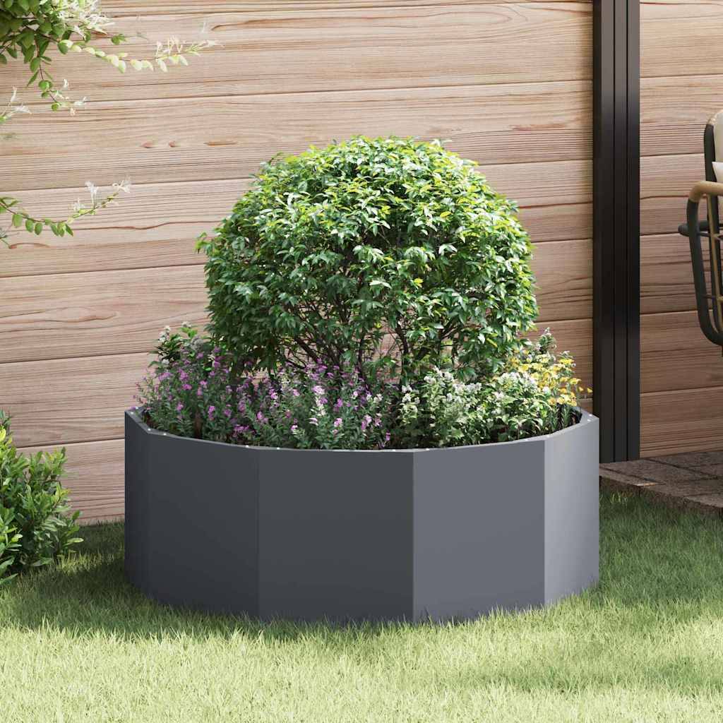 Ein rundes Pflanzgefäß in einem sonnigen Außenbereich enthält einen grünen Busch, der von kleinen lila Blumen umgeben ist, und steht vor einem Holzwandhintergrund.