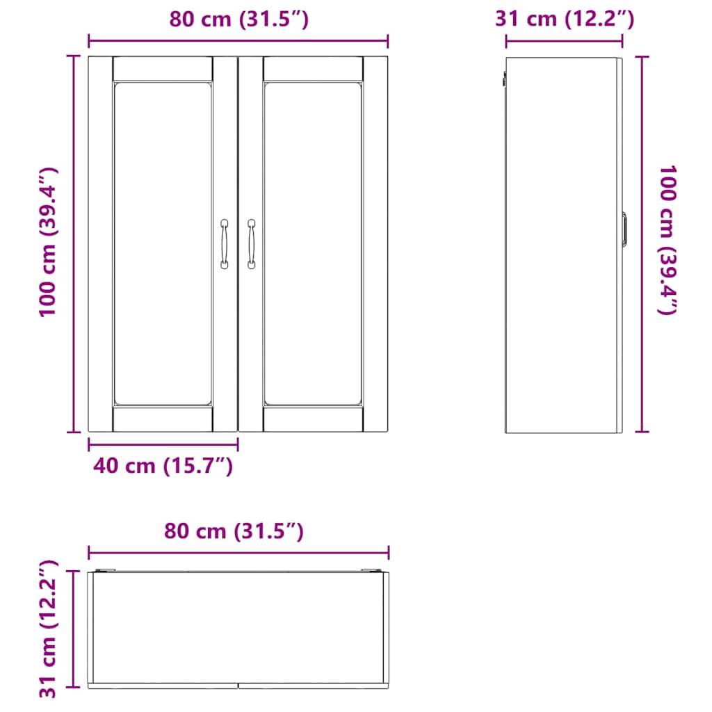 Schrank-Diagramm mit beschrifteten Abmessungen: 100 cm (39,4