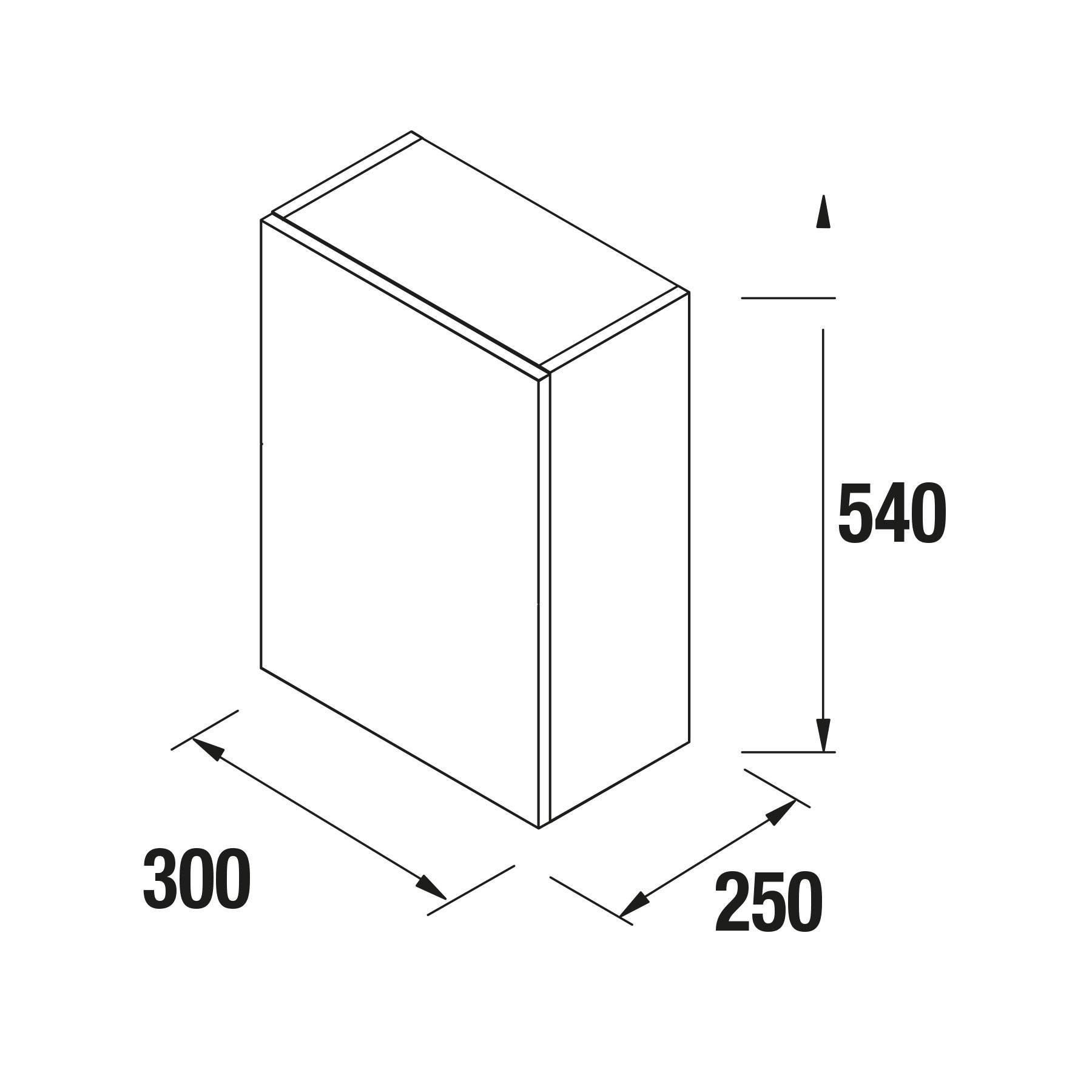 Isometrische Darstellung einer rechteckigen Box mit Abmessungen: 300 Breite, 250 Tiefe, 540 Höhe, dargestellt mit Pfeilen, die die jeweilige Messung anzeigen.
