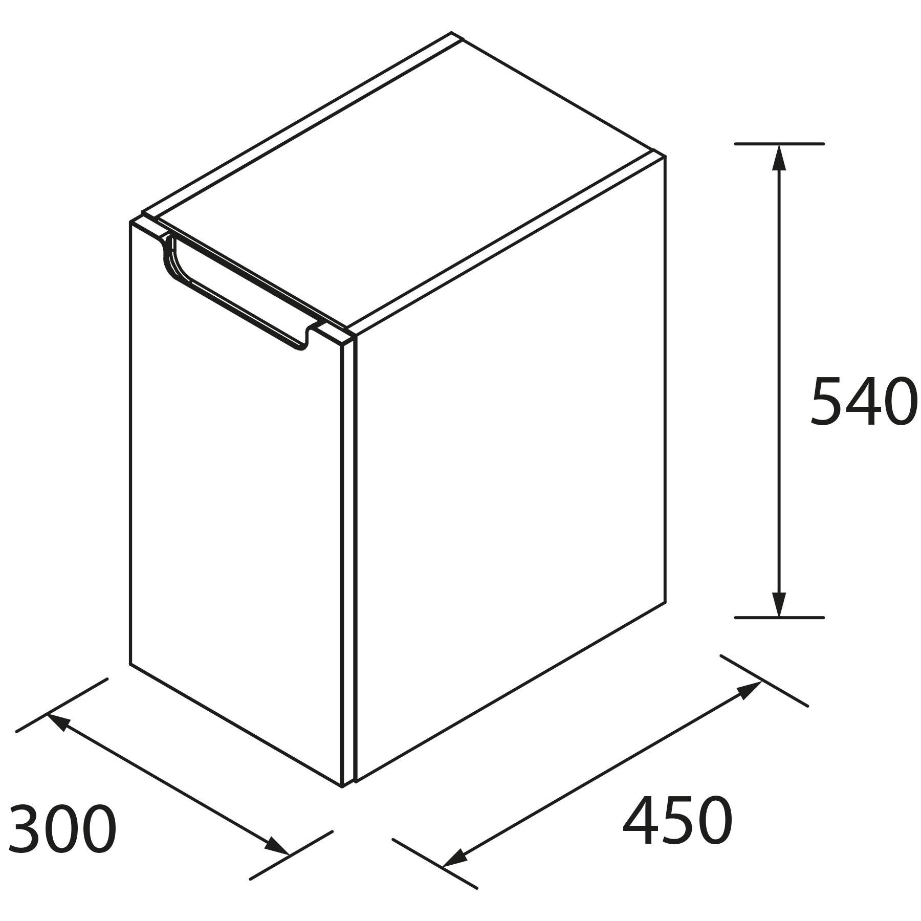 Eine 3D-Darstellung einer Box mit den folgenden Abmessungen: Höhe 540 mm, Breite 450 mm, Tiefe 300 mm, mit einem Griff versehen.