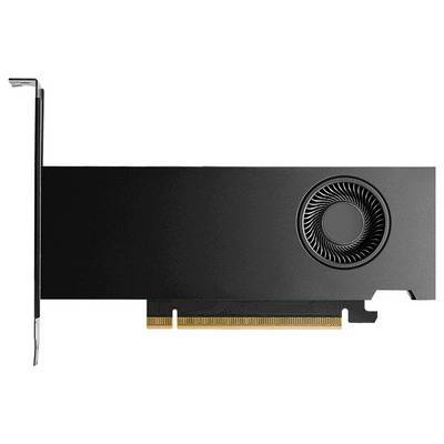 PNY Quadro RTX PRO 2000 Blackwell 16GB GDDR7 4xmDP Multimedia-Technik Grafikkarten NVIDIA