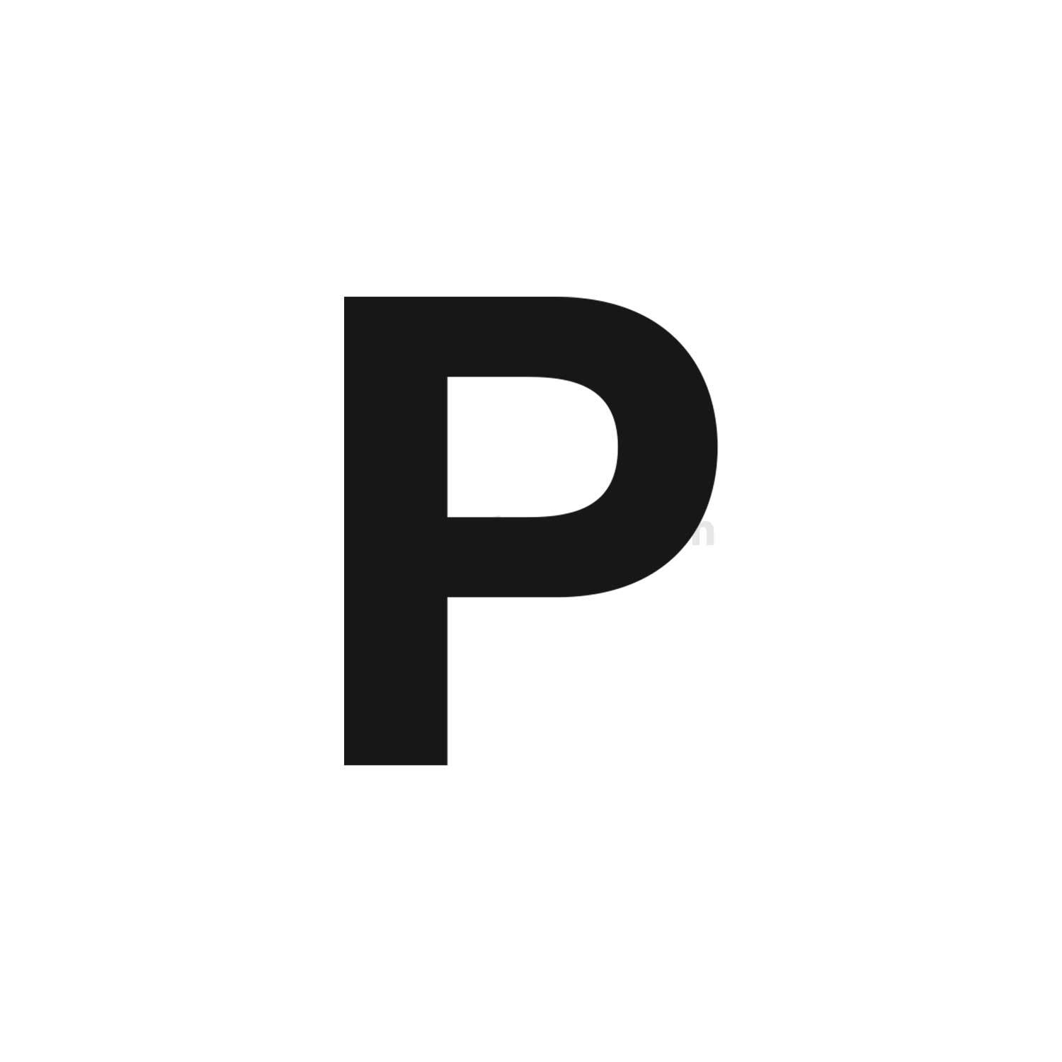Das Bild zeigt einen fetten, schwarzen Großbuchstaben 'P', der auf einem schlichten weißen Hintergrund zentriert ist.