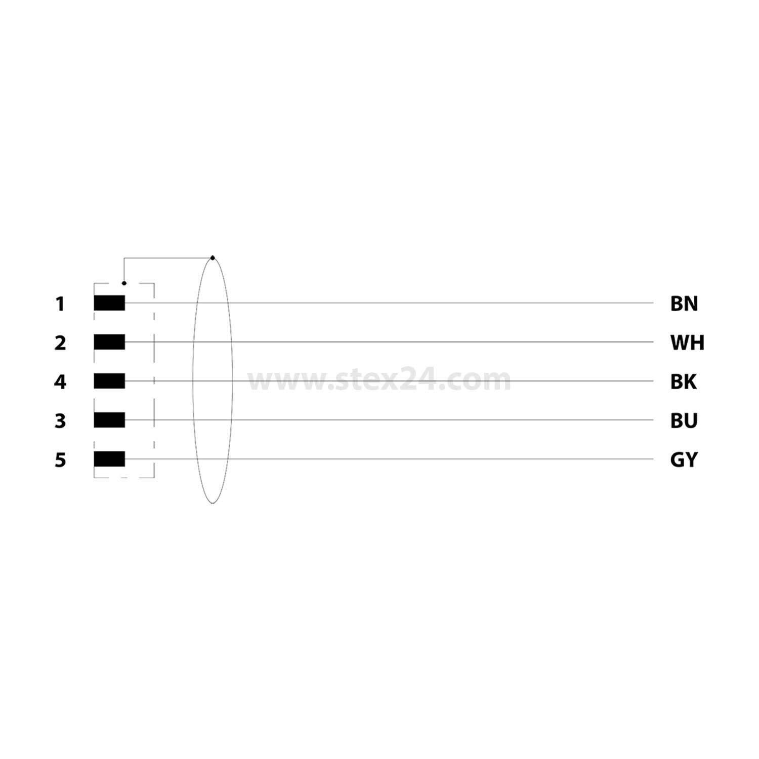 Diagramm eines 5-poligen elektrischen Steckverbinders. Pins von 1 bis 5 korrelieren mit Kabeln: BN, WH, BK, BU, GY von oben nach unten.