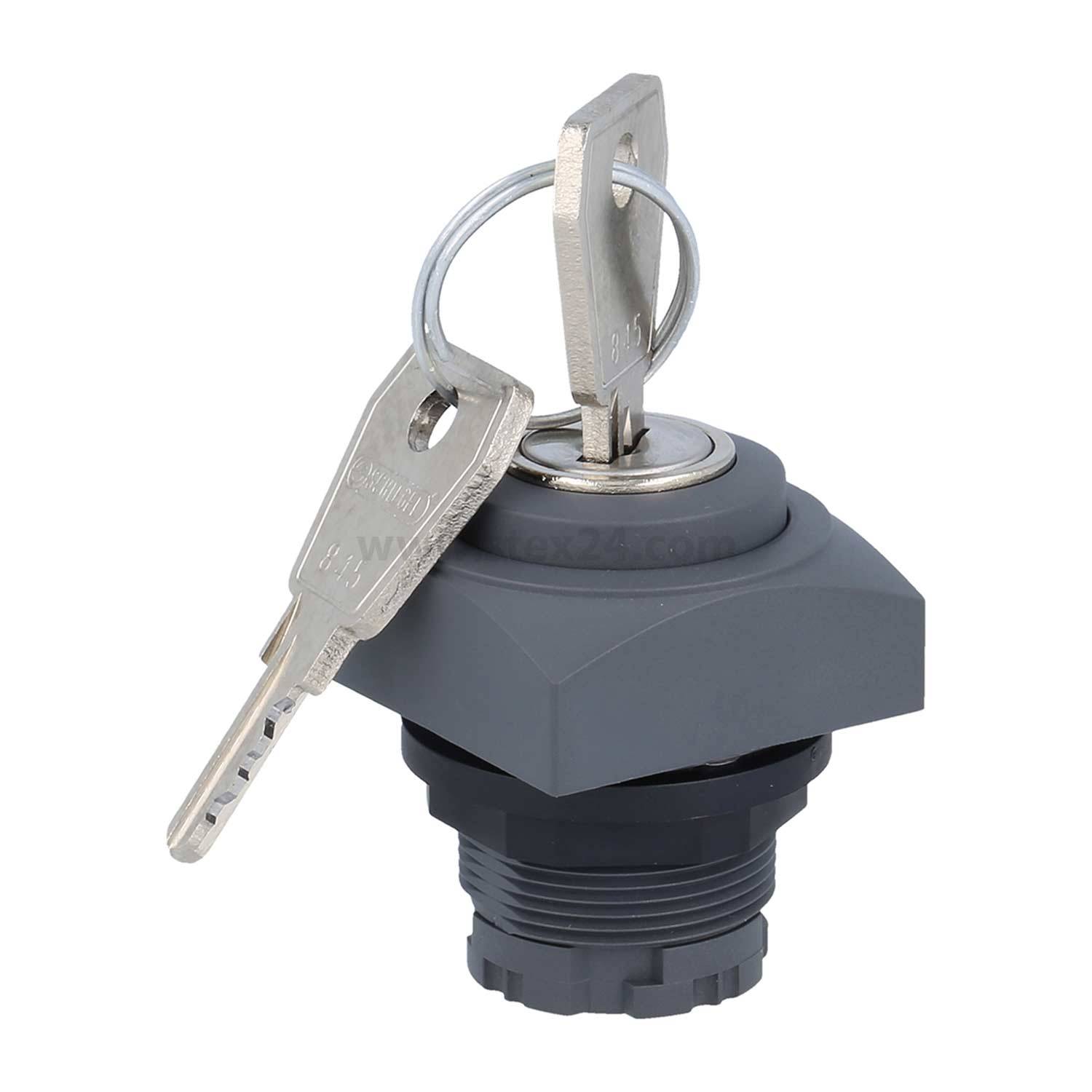 Ein grauer Schlossschalter mit zwei eingelegten Schlüsseln, vertikal positioniert. Das Schloss hat eine sechseckige Basis und wirkt industriell.