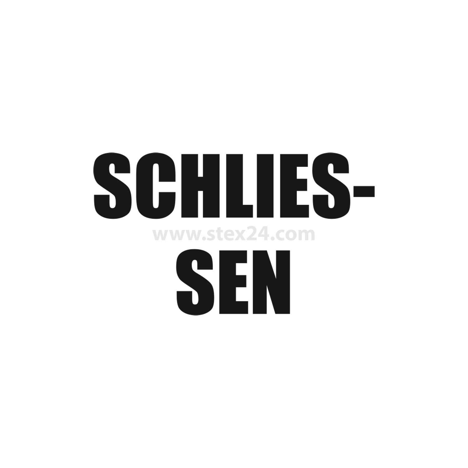Das Bild zeigt das Wort 'SCHLIESSEN' in fetten schwarzen Buchstaben auf weißem Hintergrund.