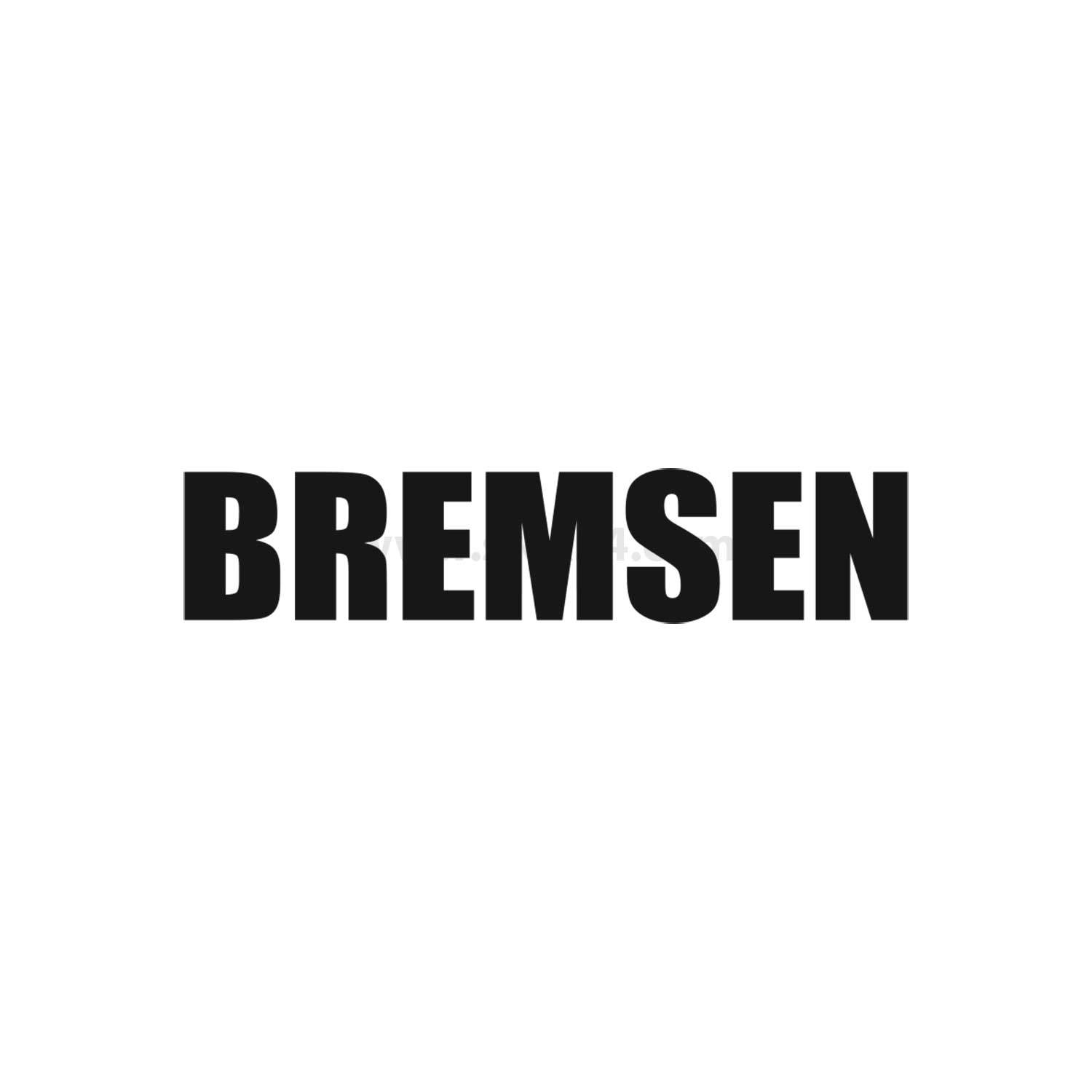 Das Wort 'BREMSEN' in fett gedruckten schwarzen Buchstaben auf weißem Hintergrund.