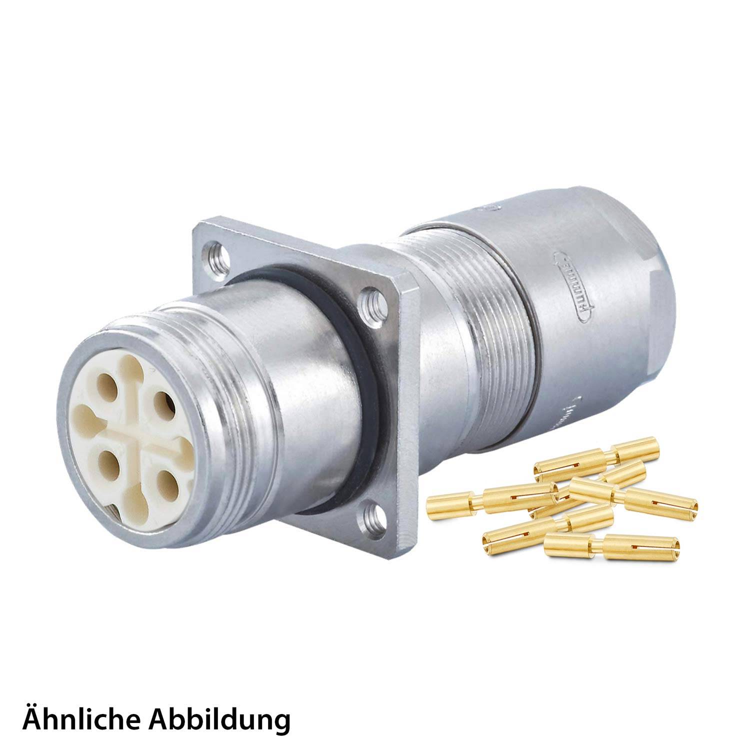 Ein metallischer elektrischer Anschluss mit mehreren Stiften, begleitet von einigen losen vergoldeten Stiften daneben.