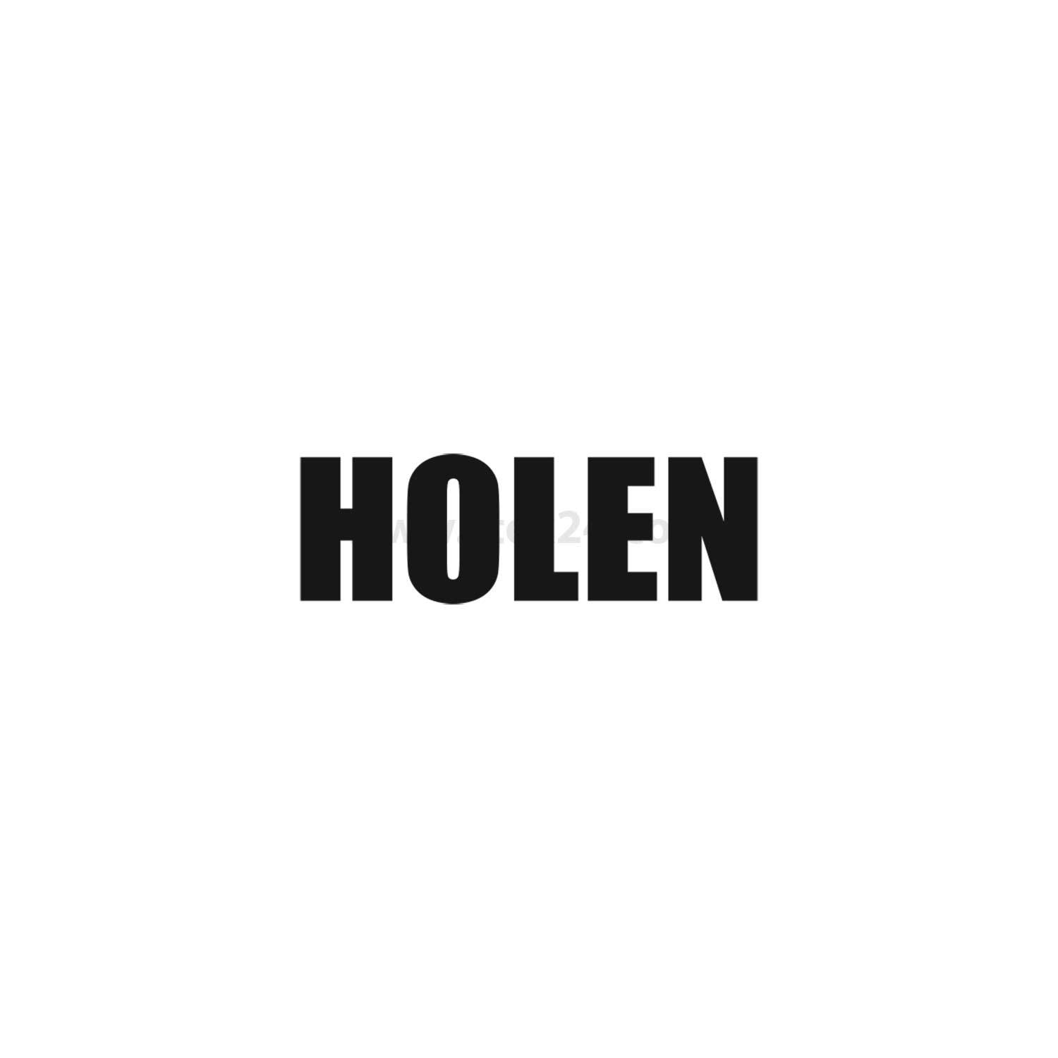 Das Bild zeigt das Wort 'HOLEN' in fetten, schwarzen Großbuchstaben, zentriert auf einem weißen Hintergrund.