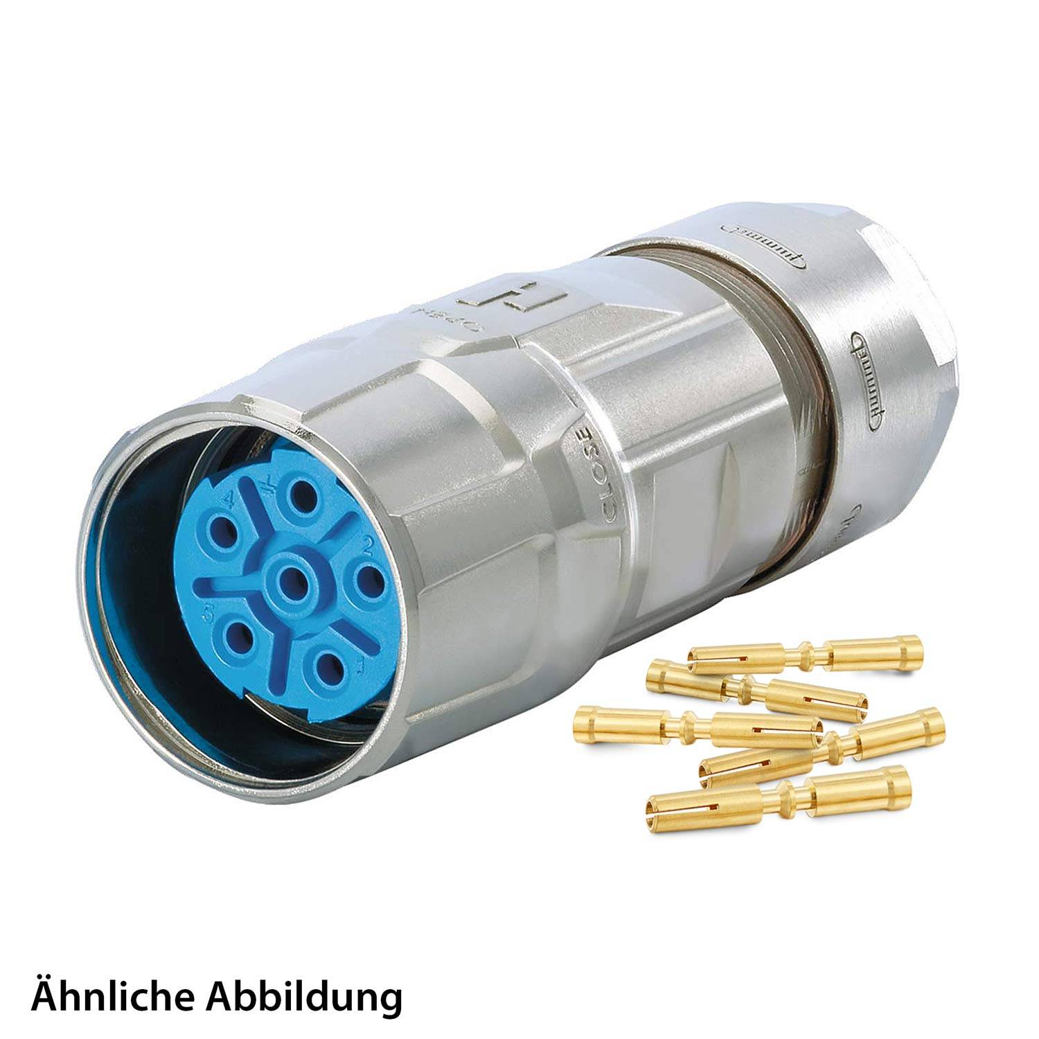 Ein metallischer elektrischer Anschluss mit blauem Innenraum und mehreren Goldstiften liegt neben sieben Goldanschlüssen. Text im Bild: 