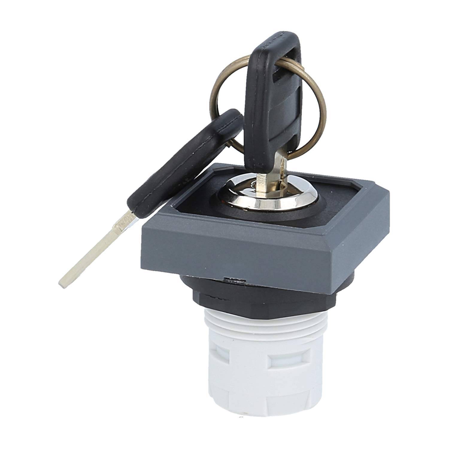 OKSSA15 Georg Schlegel Schlüsseltaste rastend quadratisch, OKTRON Beleuchtbar: Nein Beschriftbar: Nein - 1Stück