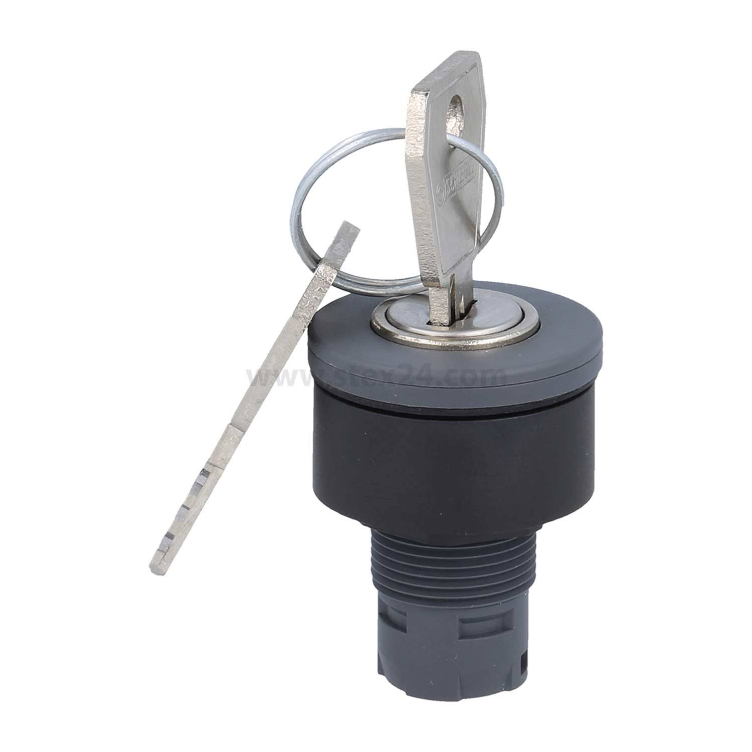 „Ein Schlüssel, der in einen schwarzen elektrischen Schalter eingeführt wird, mit einem Metallring daran, der Sicherheits- oder Zugangskontrollfunktionalität demonstriert.