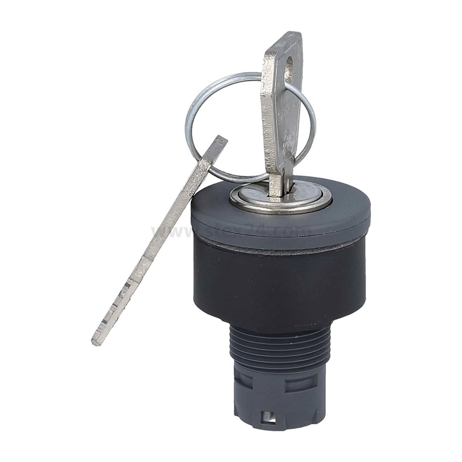 Ein zylindrisches Schlüsselschalter-Schloss mit einem flachen Metallschlüssel, der eingesetzt ist, mit einem kreisförmigen Schlüsselring.