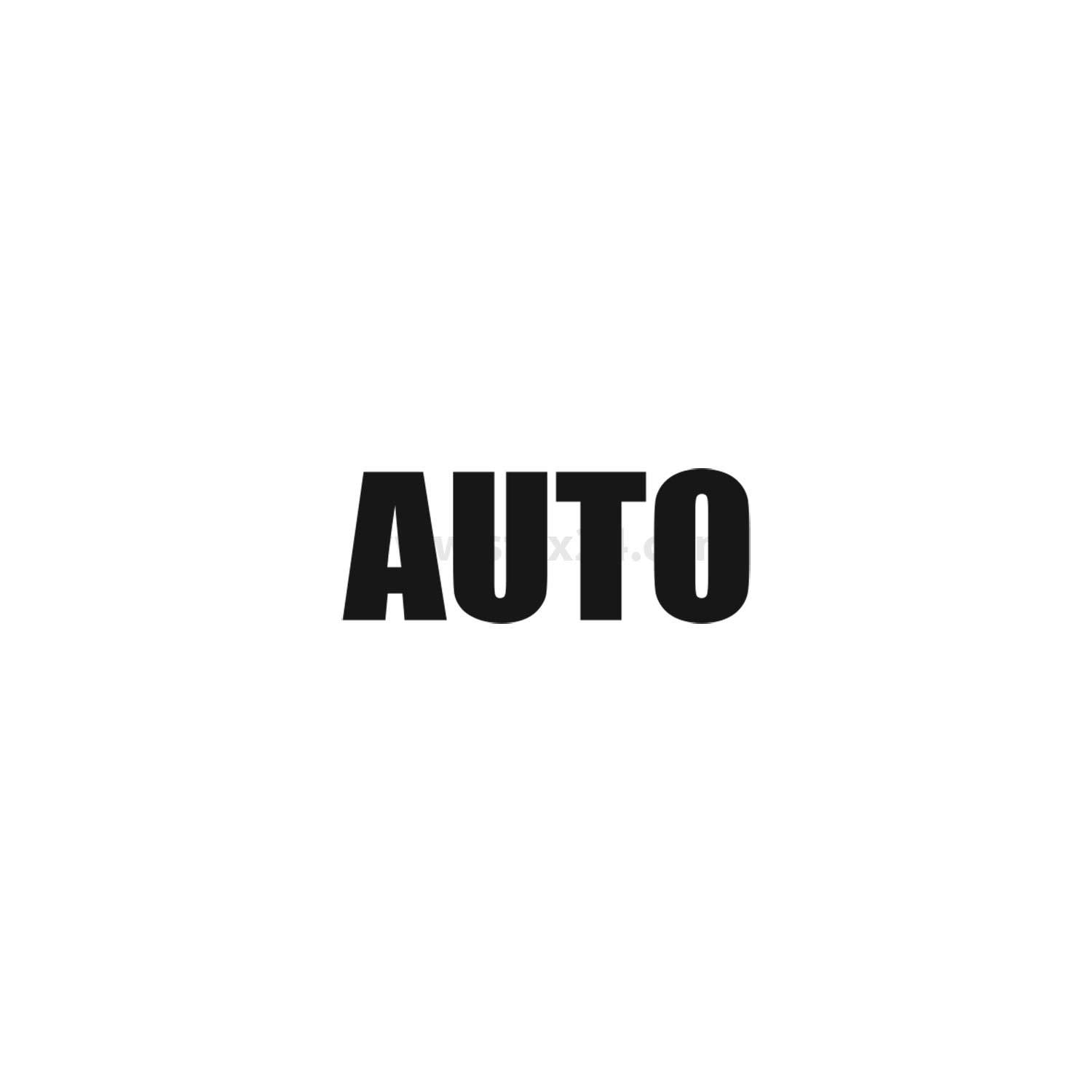 ‚AUTO' in fetter schwarzer Schrift zentriert auf weißem Hintergrund.