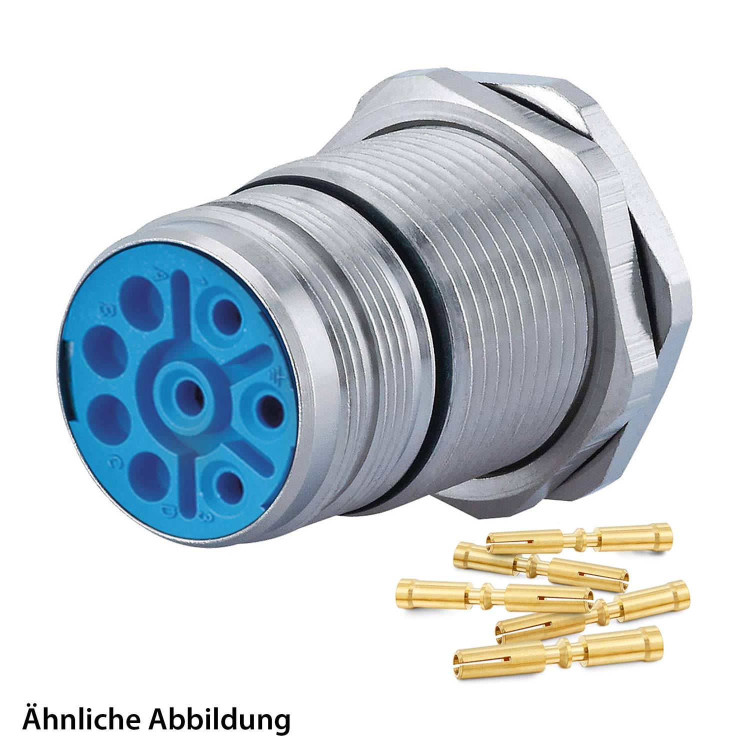 Ein Metall-Elektroanschluss mit einer blauen Endkappe. Sechs goldene Stifte liegen daneben. Text unten liest sich 