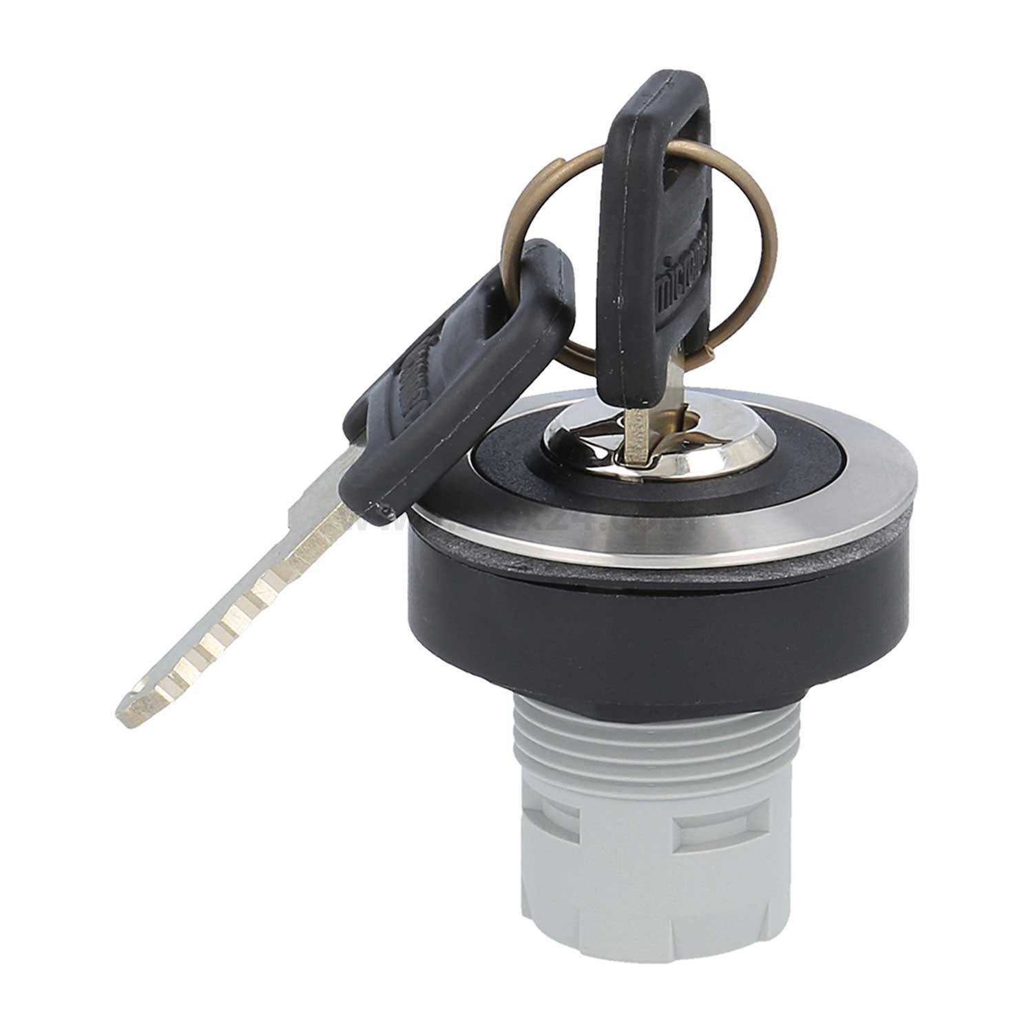 Schalter mit zwei Schlüsseln, einer in den Schlitz eingeführt, verwendet für Aktivierungs- oder Sicherheitsmechanismen, vor einem einfarbigen Hintergrund.