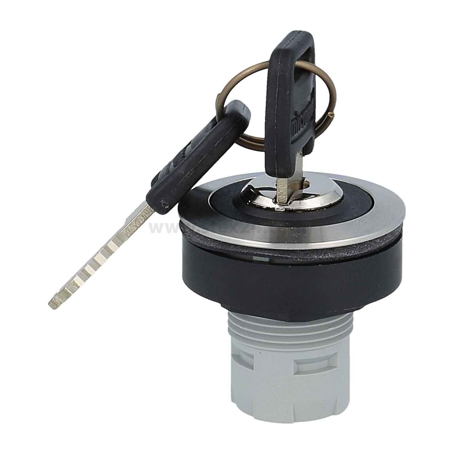 Ein Schlüssel, der in einen Schließzylinder eingeführt wird, deutet auf einen Fokus auf Sicherheit oder Aktivierung hin.