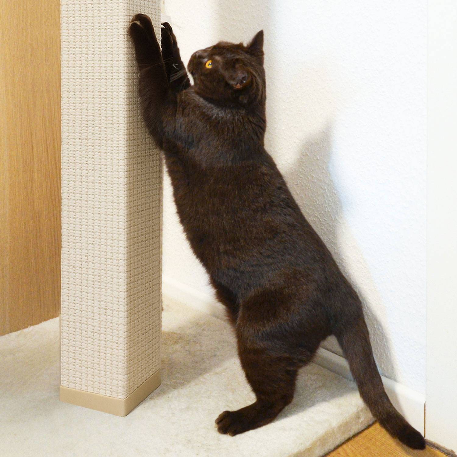 35 cm Sisalstamm für Kratzbaum - M8 Ersatzstamm Eckig - Sisalsäule Kratzstamm