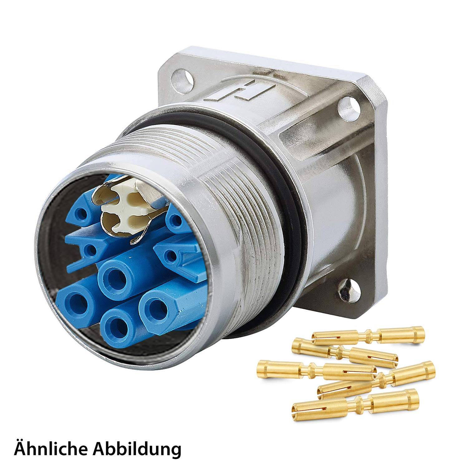 Kreisförmiger Mehrfachanschluss mit blauen und weißen Buchsen, auf einer Metallplatte montiert. Goldene Stifte sind separat neben dem Anschluss dargestellt.