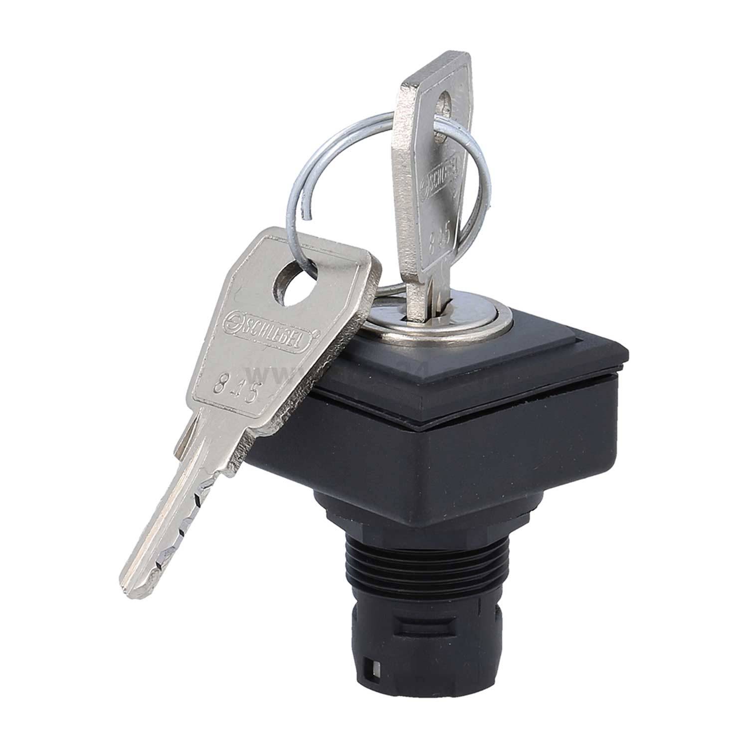 QXJSSA18E Georg Schlegel Schlüsseltaste rastend quadratisch, QUARTRON-JUWEL Beleuchtbar: Nein Beschriftbar: Nein -