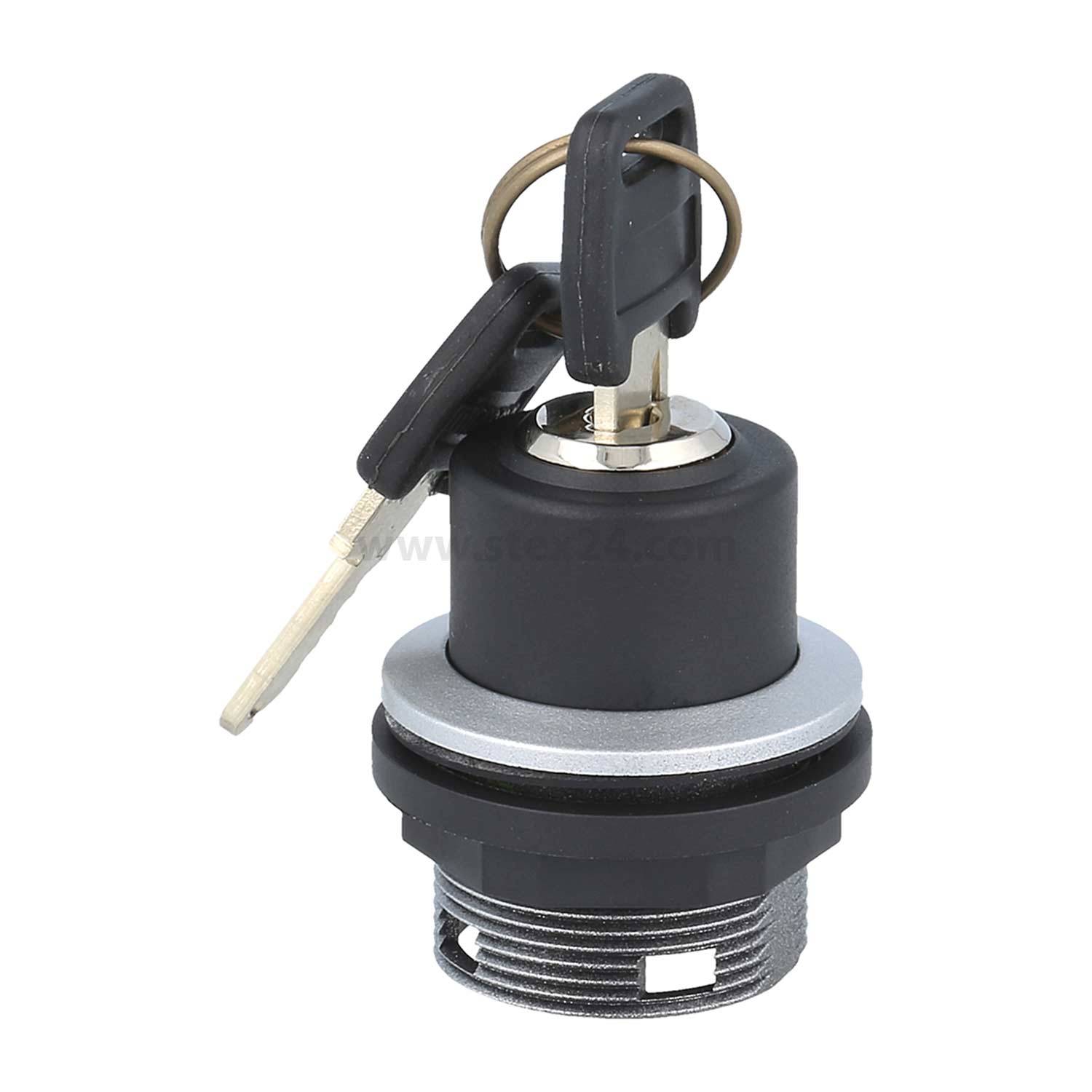 Ein Schließzylinder mit zwei eingelegten Schlüsseln, jeweils mit einem kleinen Ring angehängt. Verwendet zum Sichern von Türen oder Maschinenkomponenten.