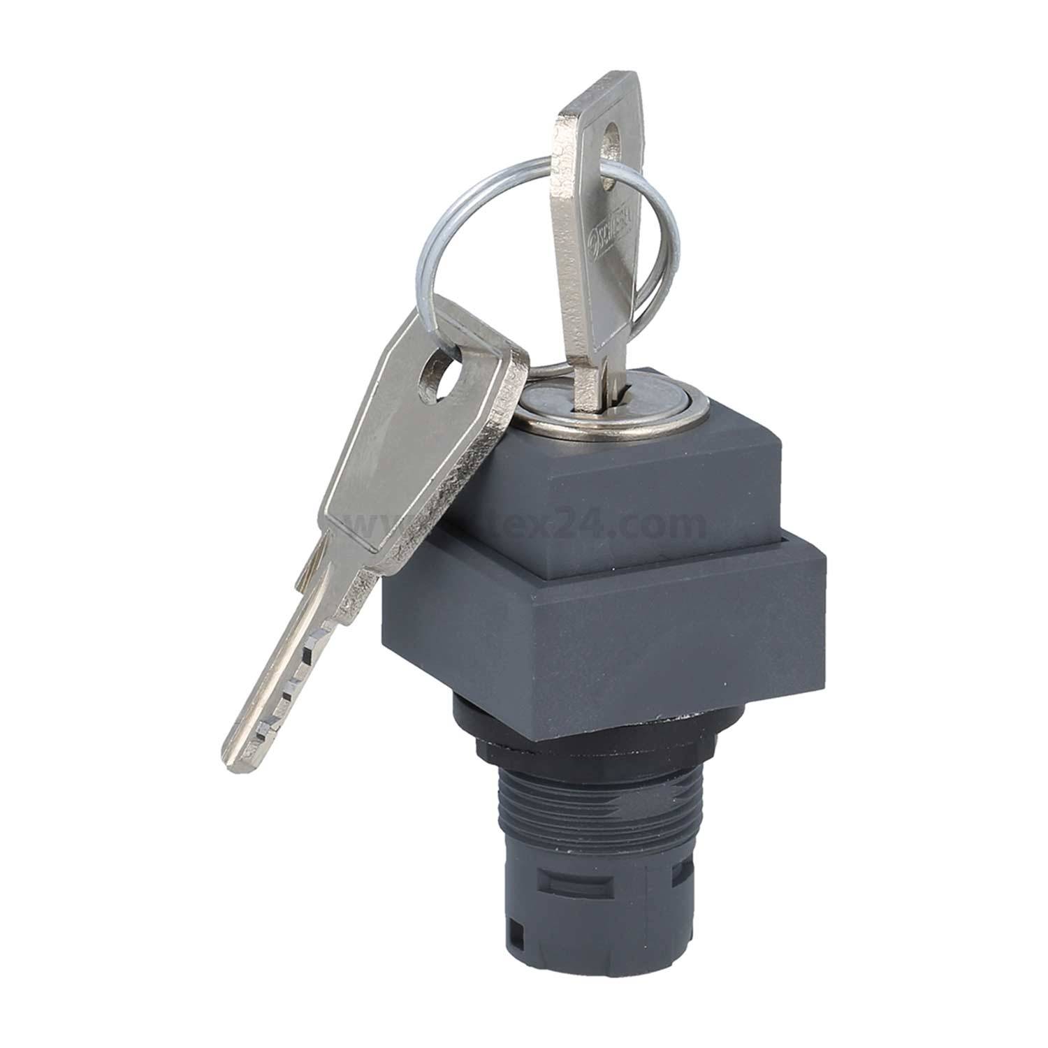 Ein quadratischer Sicherheitsschlüsselschalter mit zwei eingesteckten Schlüsseln, die jeweils an einem Ring befestigt sind. Der Schalter verfügt über eine schwarze Basis, die für die Paneelmontage konzipiert ist.