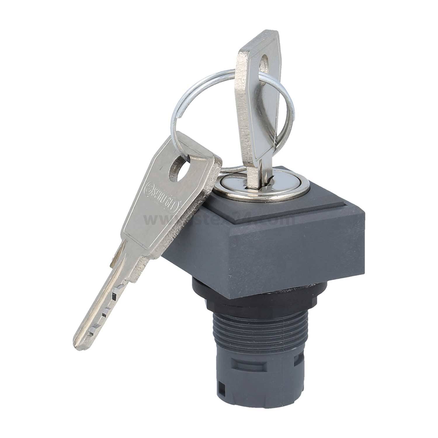 Schlüssel, der in einem schwarzen Schalter steckt, mit einem weiteren Schlüssel an einem Ring.