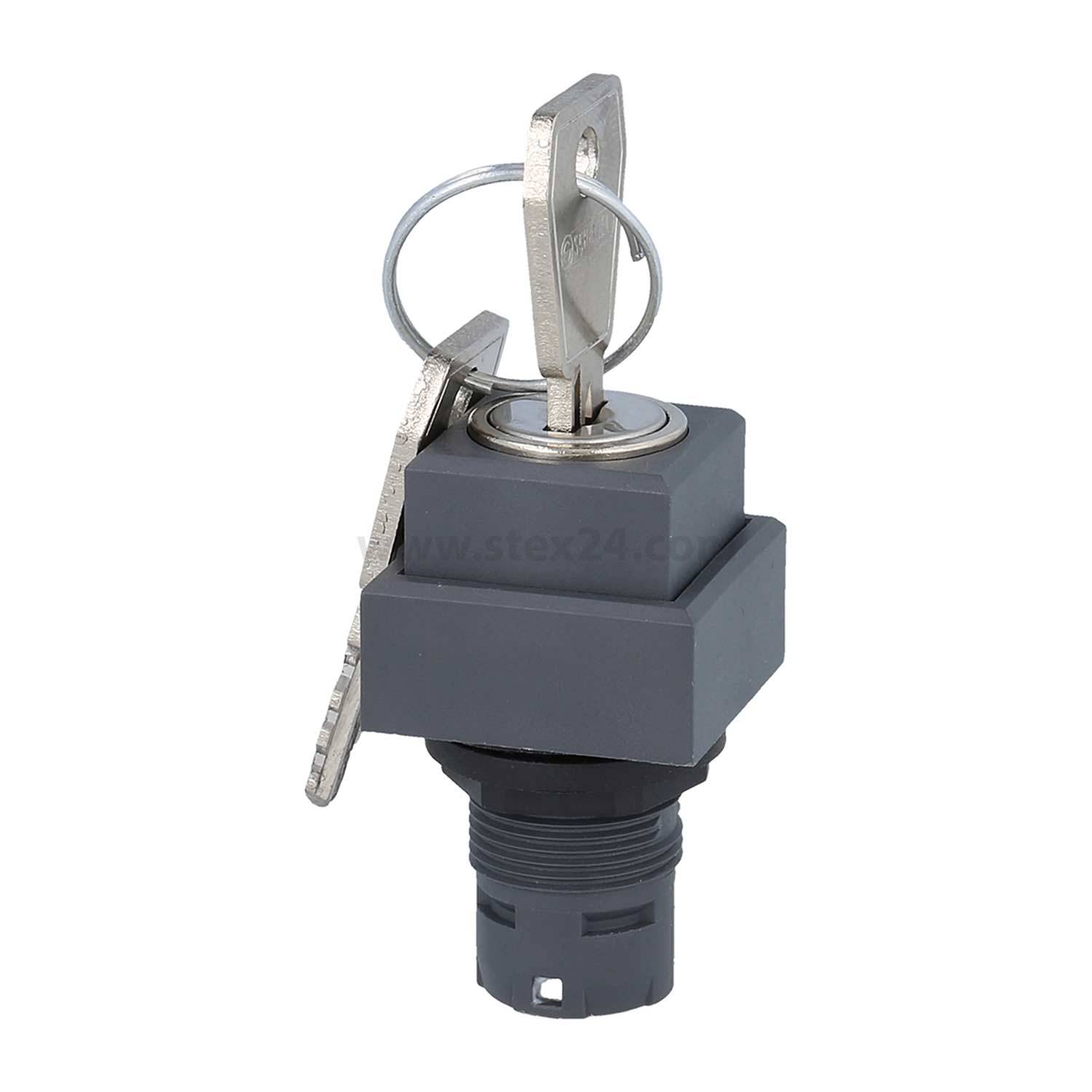 Schlüsselschalter mit zwei silbernen Schlüsseln, angebracht an einer grauen quadratischen Box, zur Steuerung oder Sicherung elektrischer Geräte.