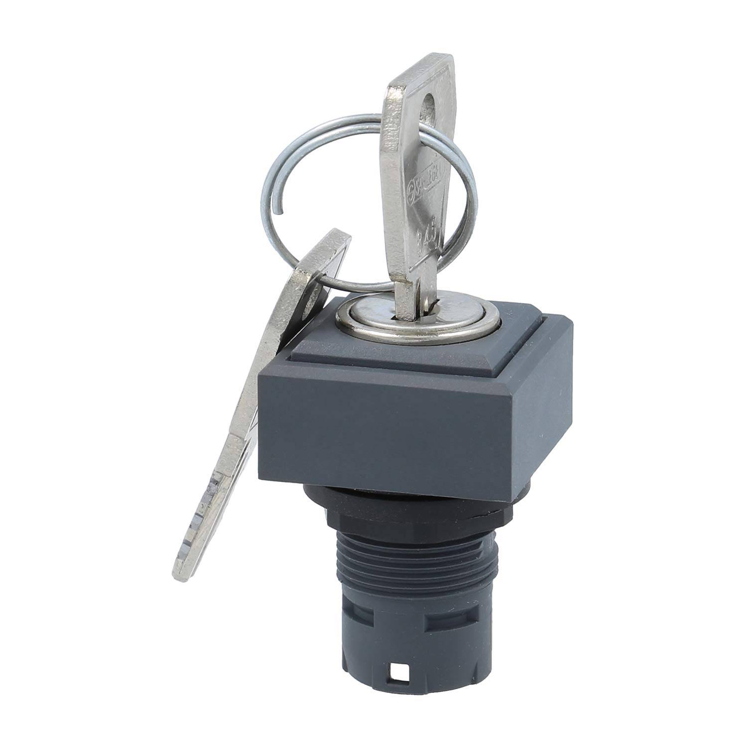 Ein Metallschlüssel, der in ein quadratisches Schließzylinderschloss mit einem Ring eingeführt wird, der an einer zylindrischen Basis befestigt ist. Ein zweiter Schlüssel ist durch den Ring geschlungen.