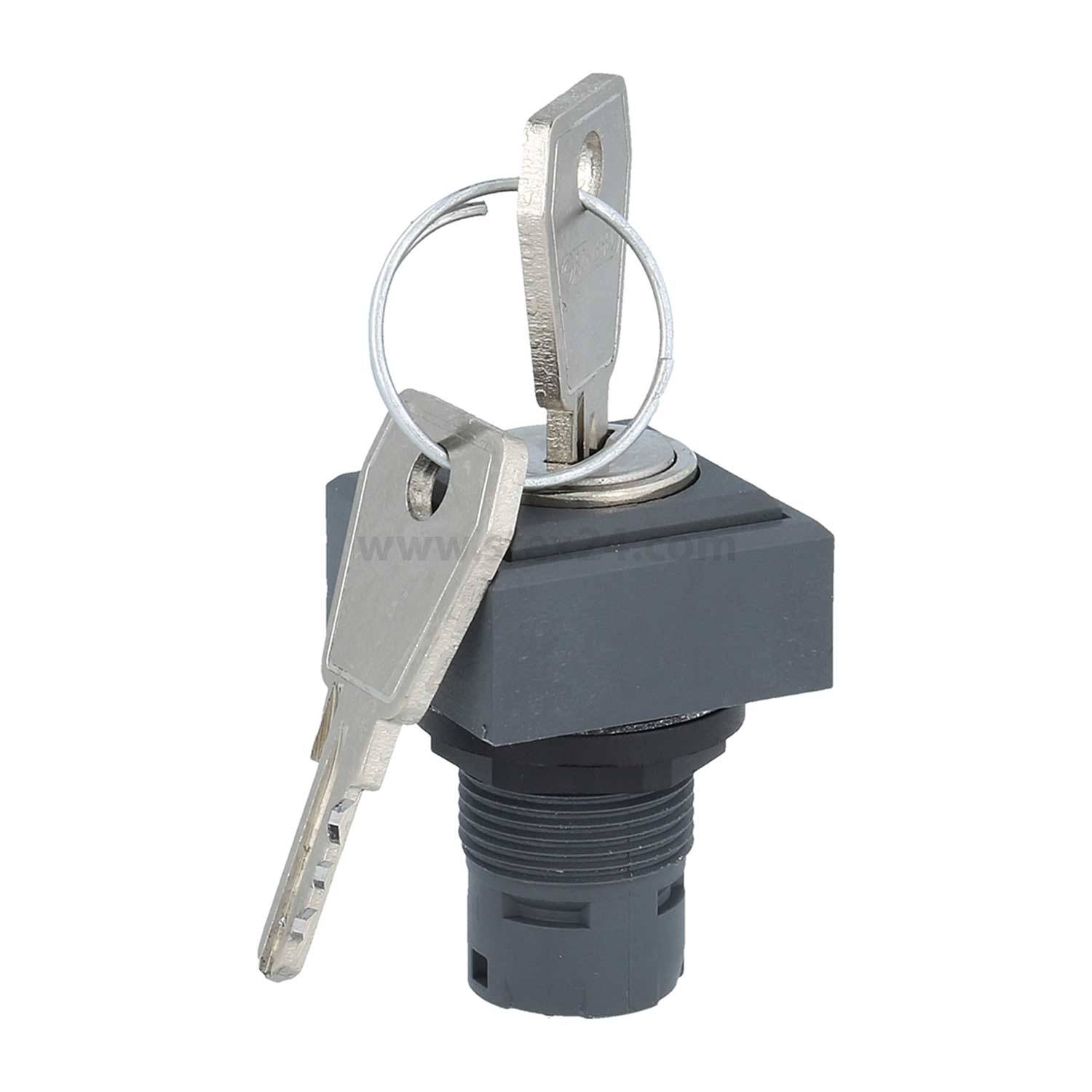 QXSSDGA17E Georg Schlegel Schlüsseltaste rastend quadratisch, QUARTRON Beleuchtbar: Nein Beschriftbar: Nein - 1Stück