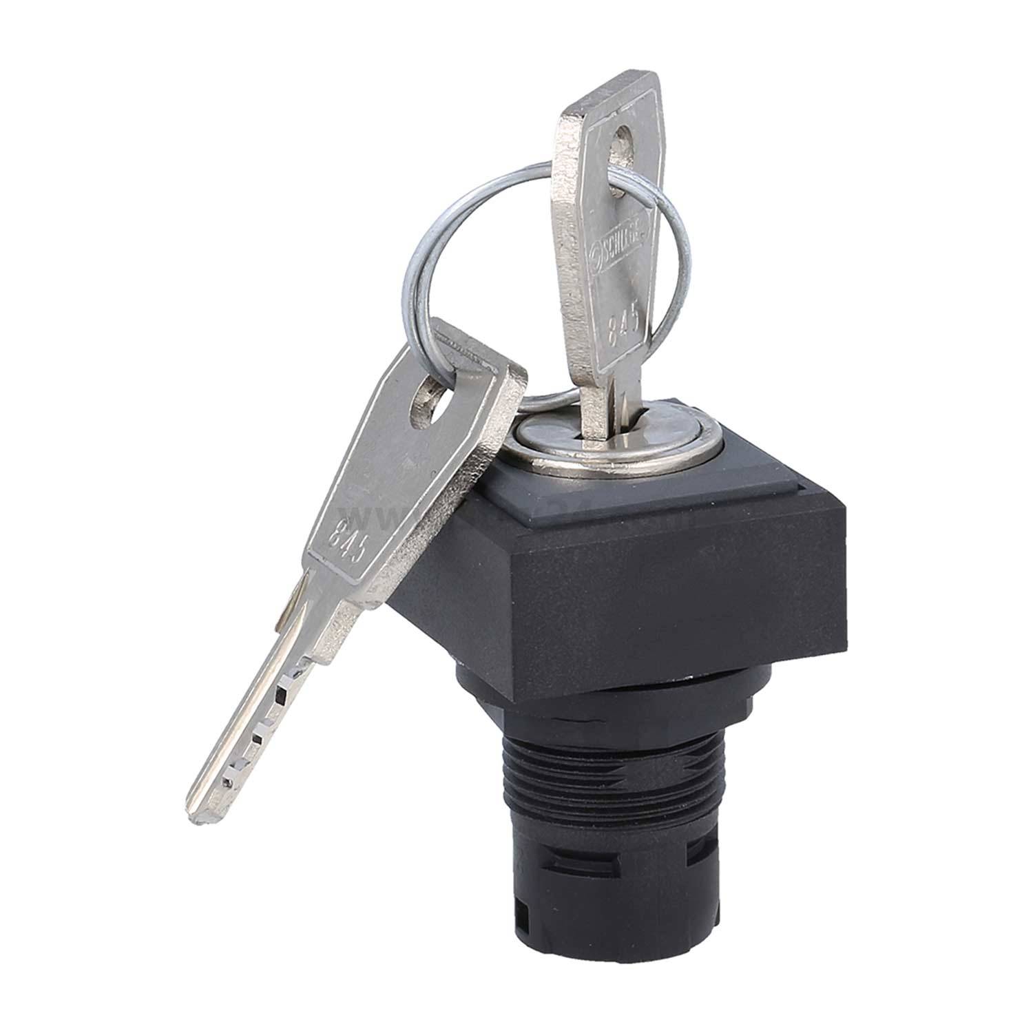 Ein schwarzer und silberner Schlüsselschalter mit zwei eingesteckten Schlüsseln, die durch einen Ring verbunden sind, vor einem einfarbigen Hintergrund.