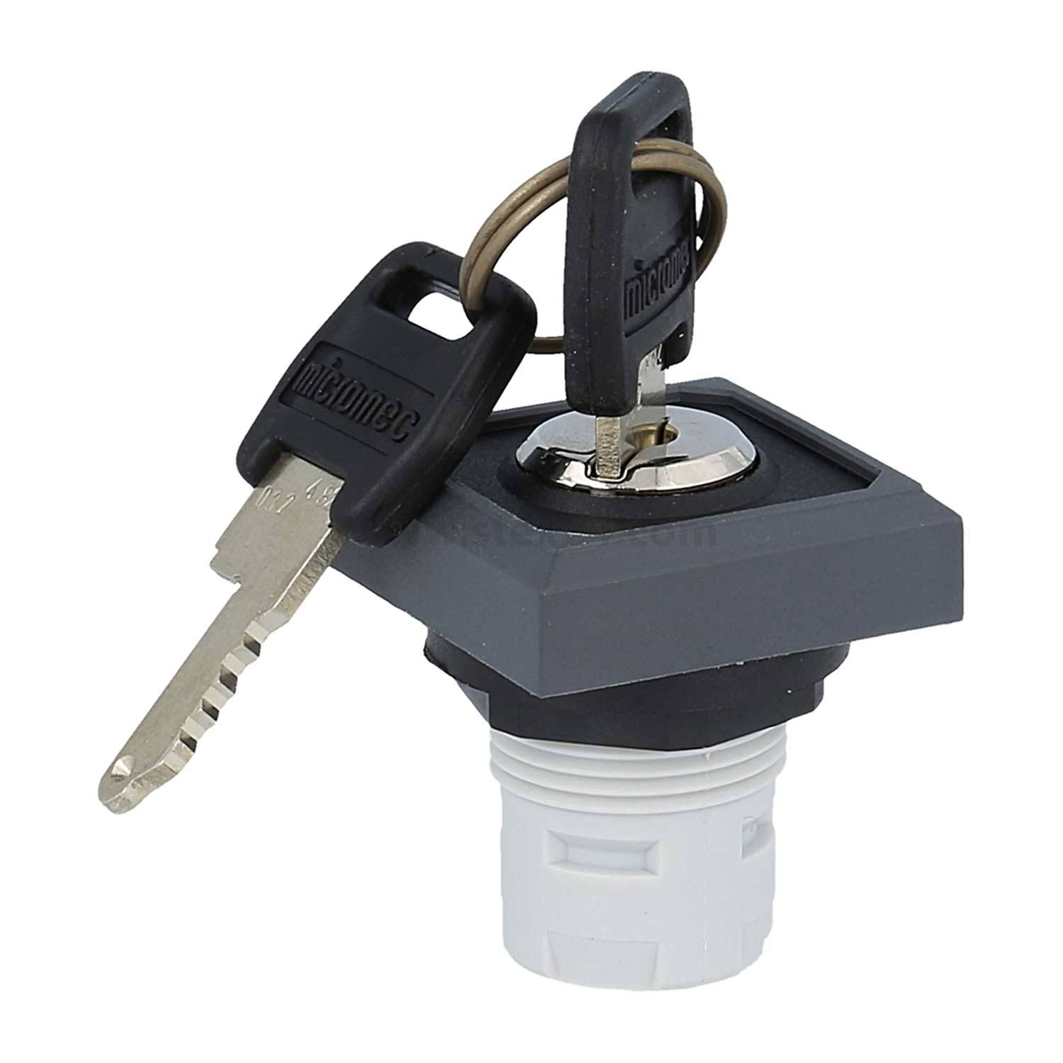 Ein Schlüsselschalter mit zwei eingesteckten Schlüsseln, der zur Steuerung von Energie oder zum Zugang verwendet wird und einen metallischen Schließmechanismus mit schwarzen Schlüsselgriffen zeigt.