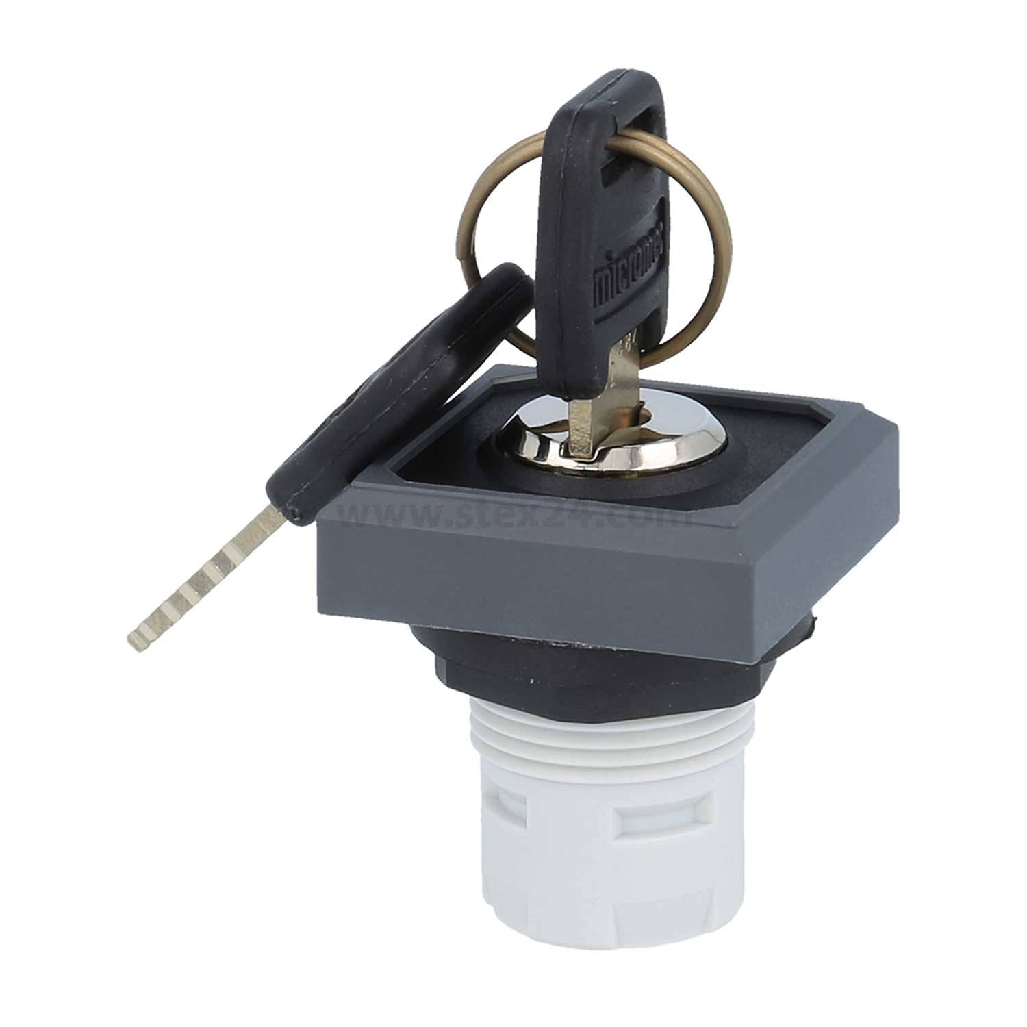 Ein schwarzer Schlüssel, der in einen grau und weiß gehaltenen Elektroschalter eingesteckt ist, mit einem metallischen Ring am Schlüssel.