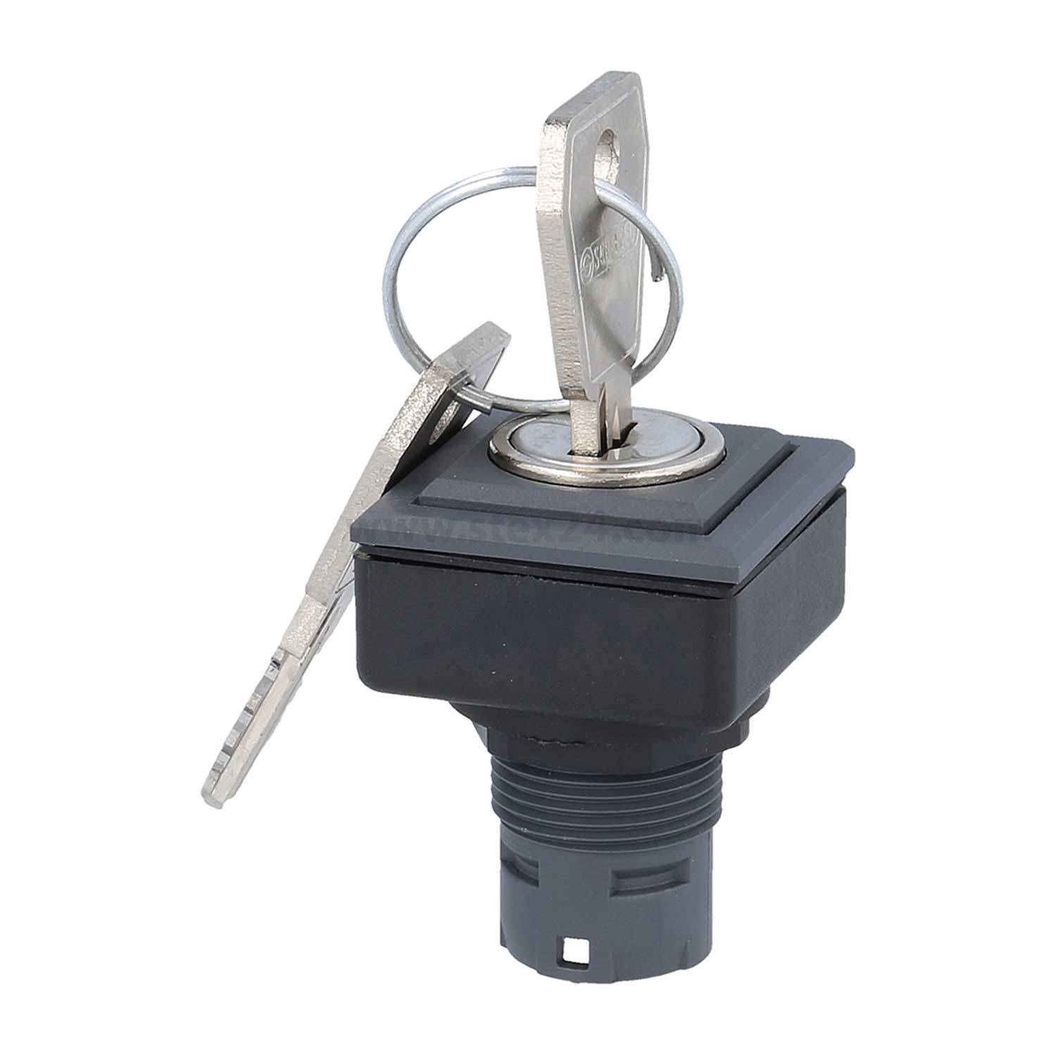 Ein quadratischer Schließzylinder mit zwei angeschlossenen Schlüsseln, konzipiert für Sicherheitssysteme und elektronische Bedienfelder.