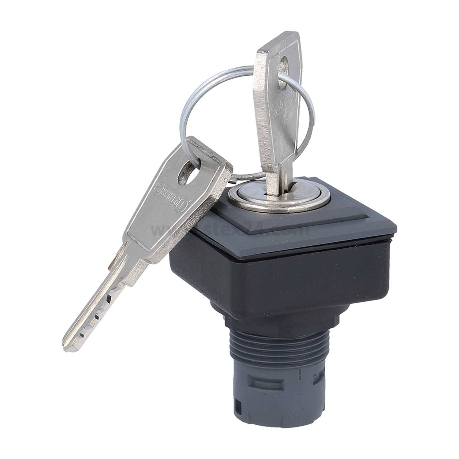 Metallschlüssel, der in einen schwarzen Schalter eingeführt wird, mit einem weiteren Schlüssel, der über einen Ring angebracht ist.