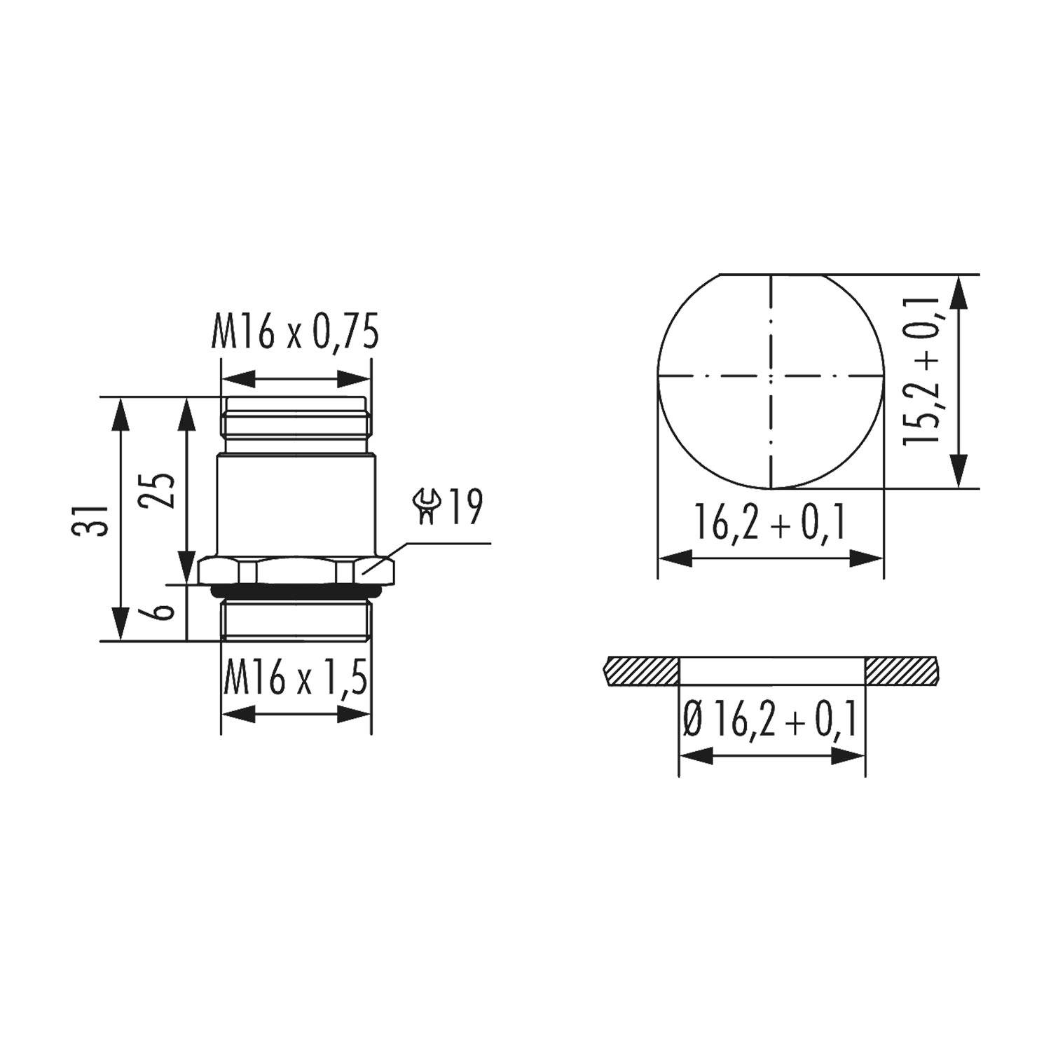 Technische Zeichnung einer zylindrischen Komponente mit Abmessungen: 31 mm Höhe, 25 mm Durchmesser, Gewindegröße M16 x 1,5 und M16 x 0,75.