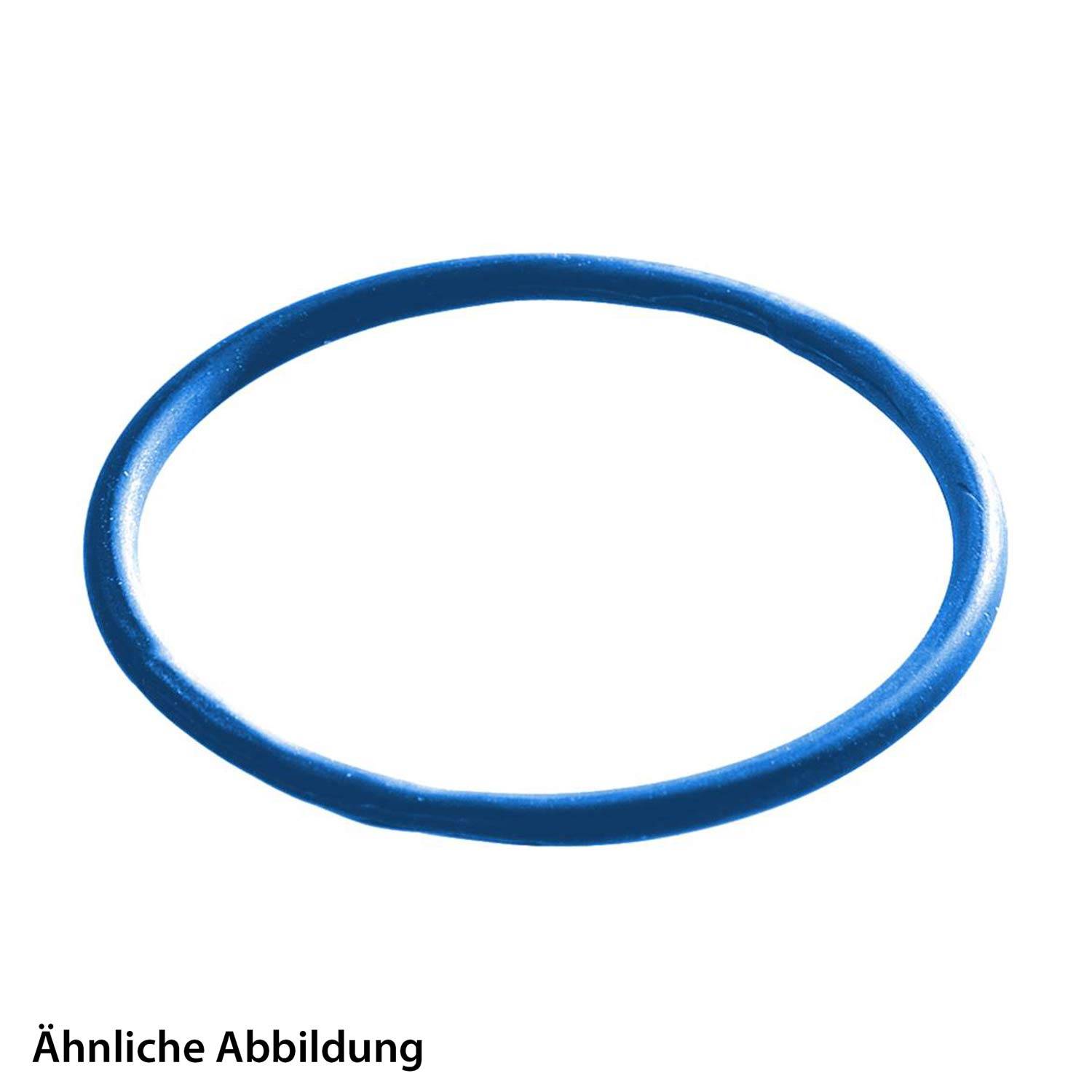 Ein blauer runder Gummidichtring, der vor einem weißen Hintergrund abgebildet ist. Text lautet „Ähnliche Abbildung
