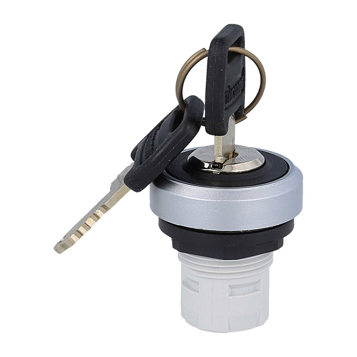 Zwei Schlüssel, die in einen Zylinderschließzylinder eingeführt werden, von einem Winkel aus aufgenommen, der die Ausrichtung der Schlüssel zum Schloss hervorhebt.