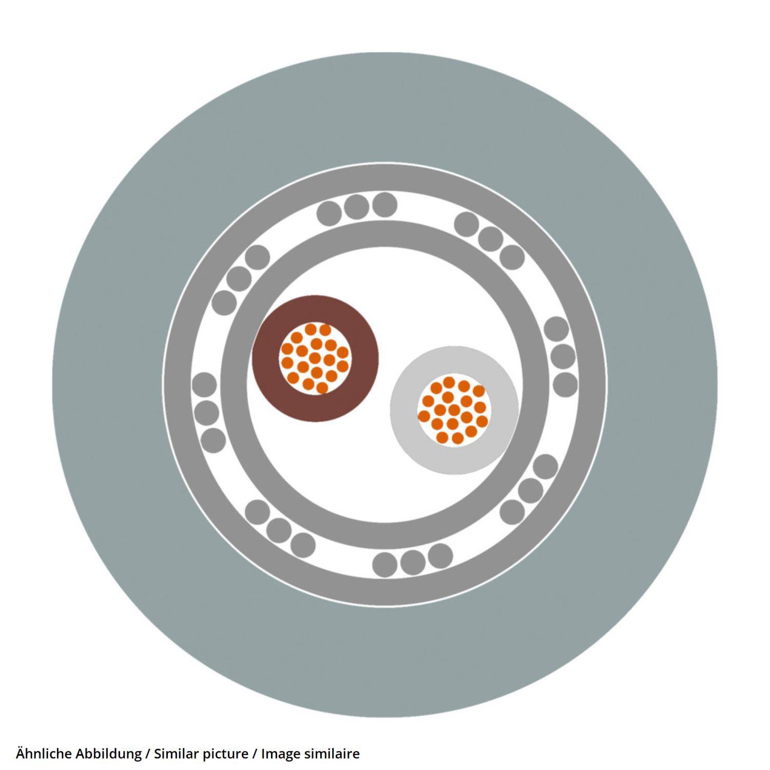 Querschnittsdiagramm eines Koaxialkabels, das zwei innere Leiter zeigt, umgeben von Isolierung, Abschirmungsschichten und äußerer Ummantelung.