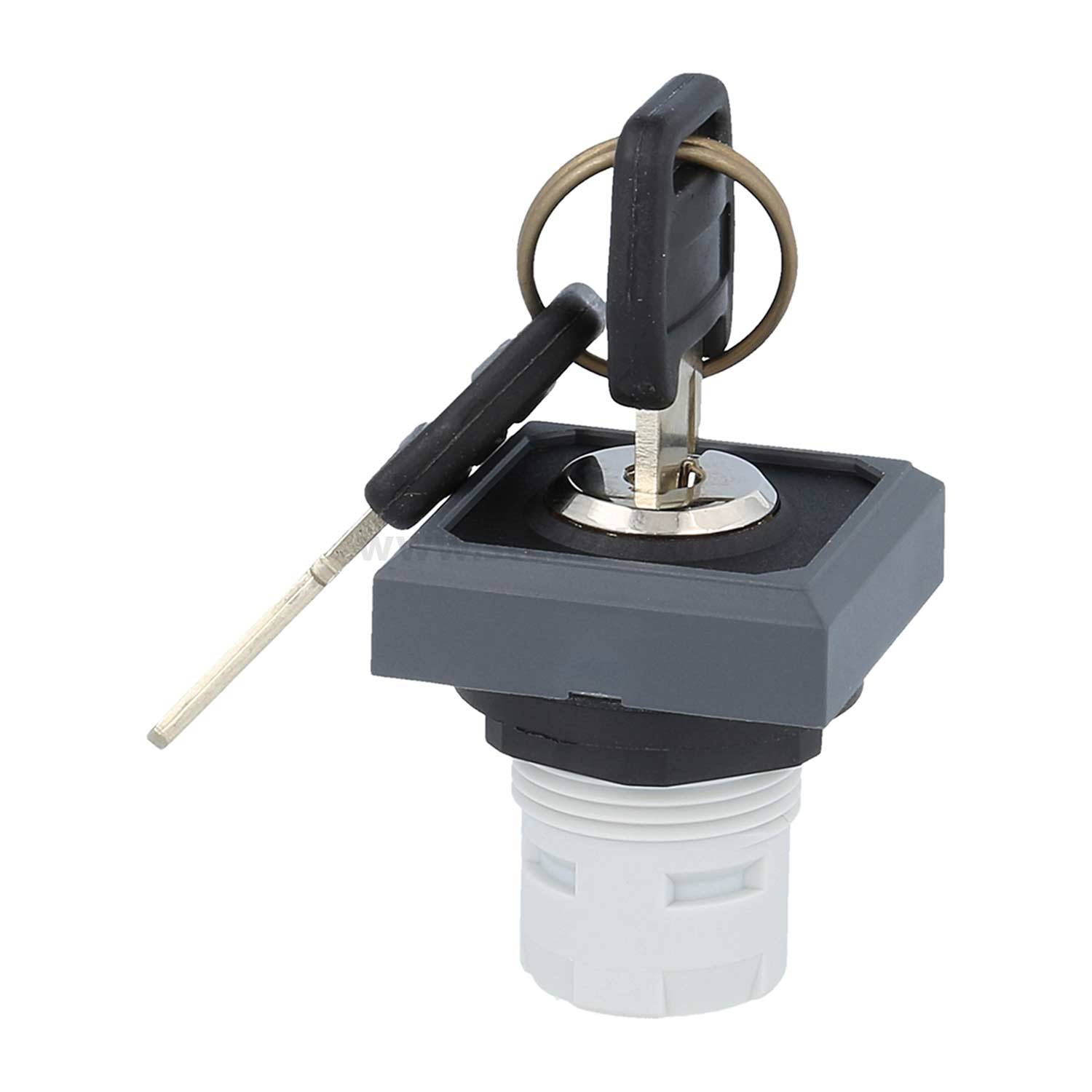 Ein Schlüssel, der in einen quadratischen Schalter mit einem weiteren Schlüssel eingesteckt ist. Der Schalter verfügt über einen grauen Rahmen und eine weiße Basis, was auf eine Zugangskontrolle hindeutet.