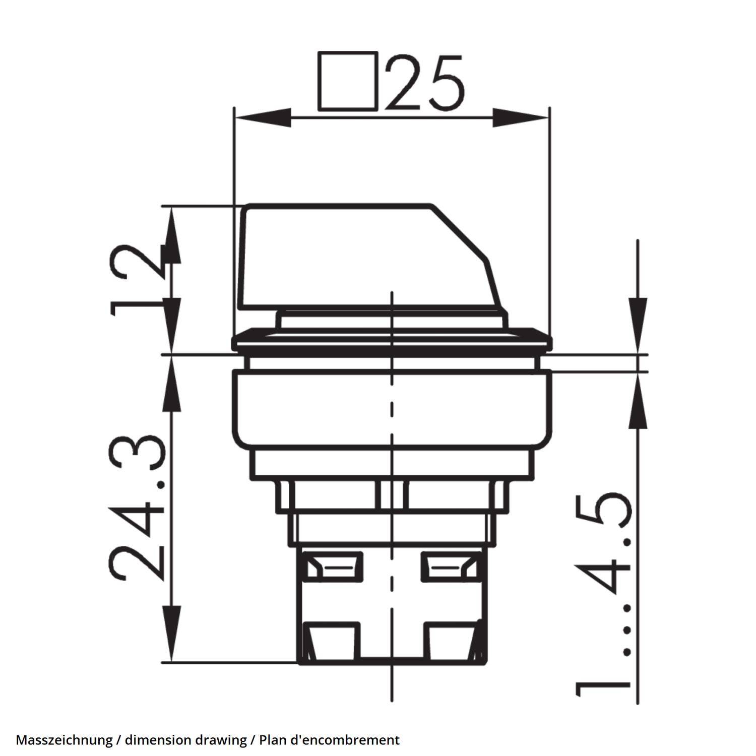 Schalterskizze zeigt Abmessungen: Höhe 24,3 mm, Breite 25 mm und Vorsprung 12 mm. Ein deutscher Ausdruck 'Masszeichnung' ist enthalten.